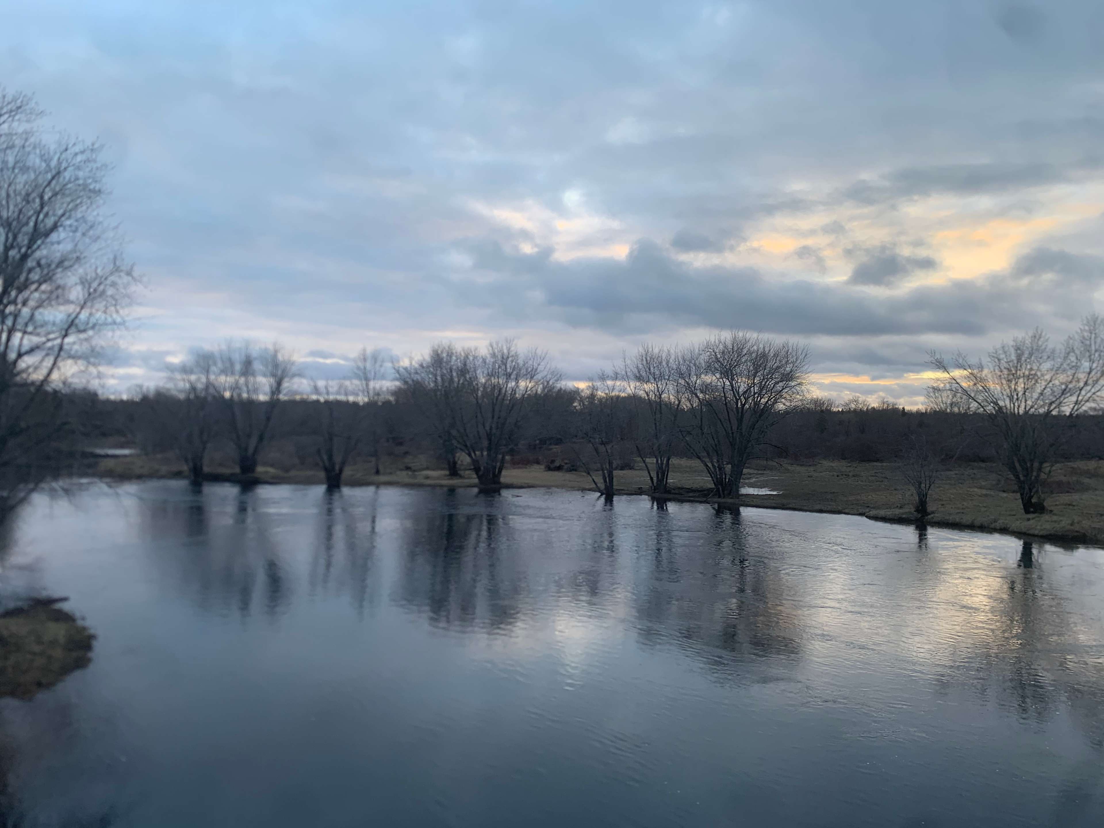 Haynesville Woods Hipcamp in Haynesville, Maine