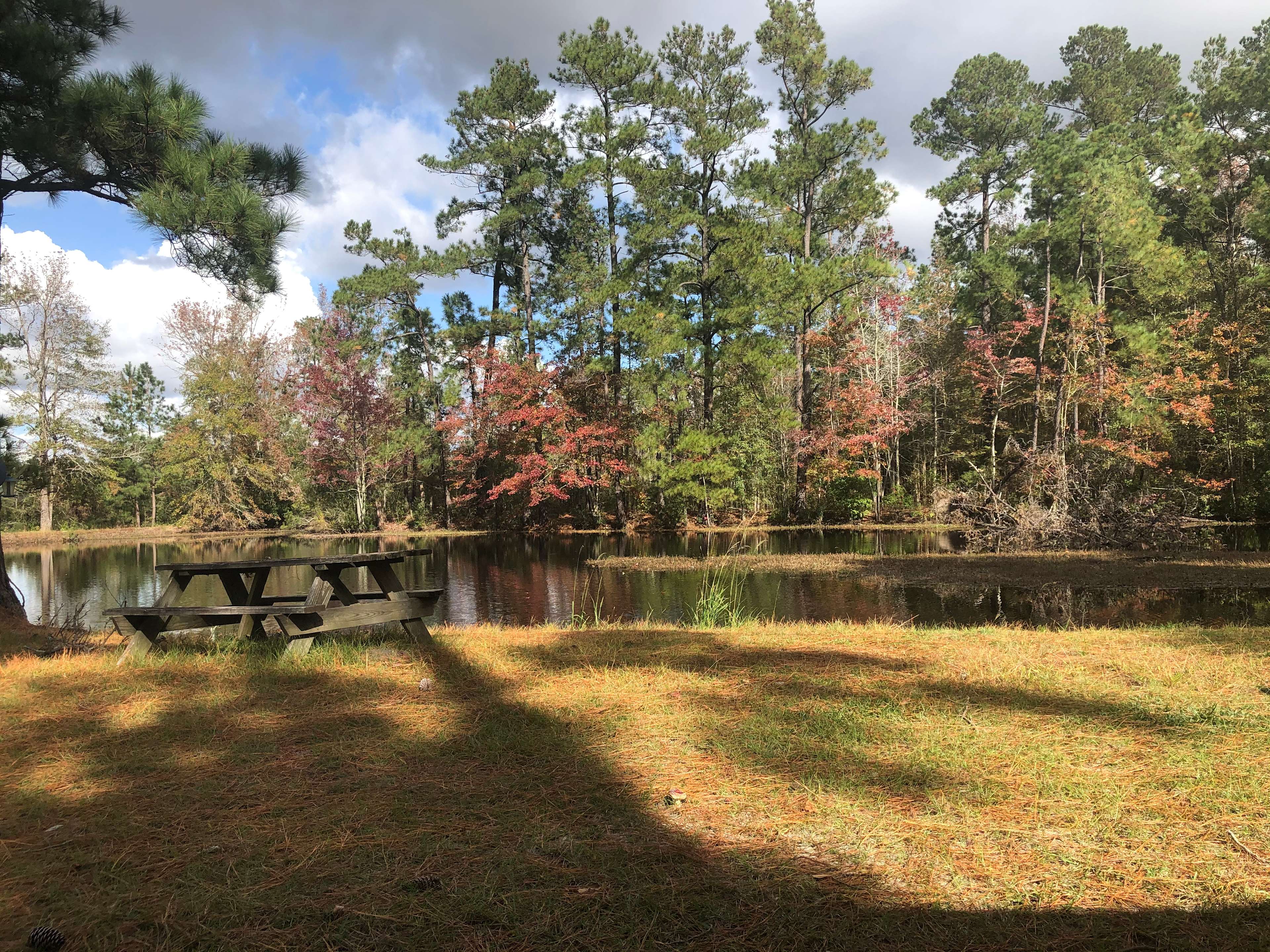 South Carolina Craigslist 43 - r055c00