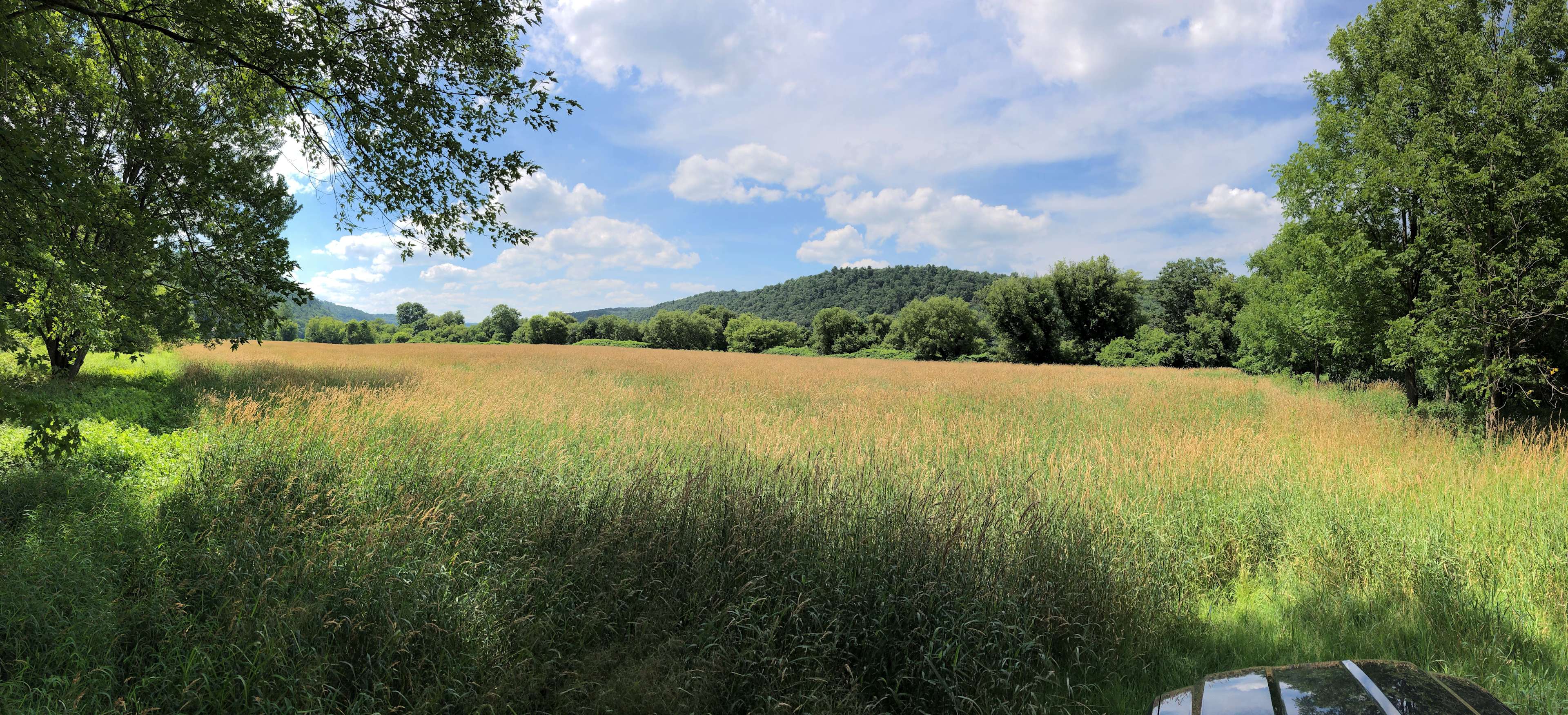 Farm overlooking Canisteo River Hipcamp in , New York