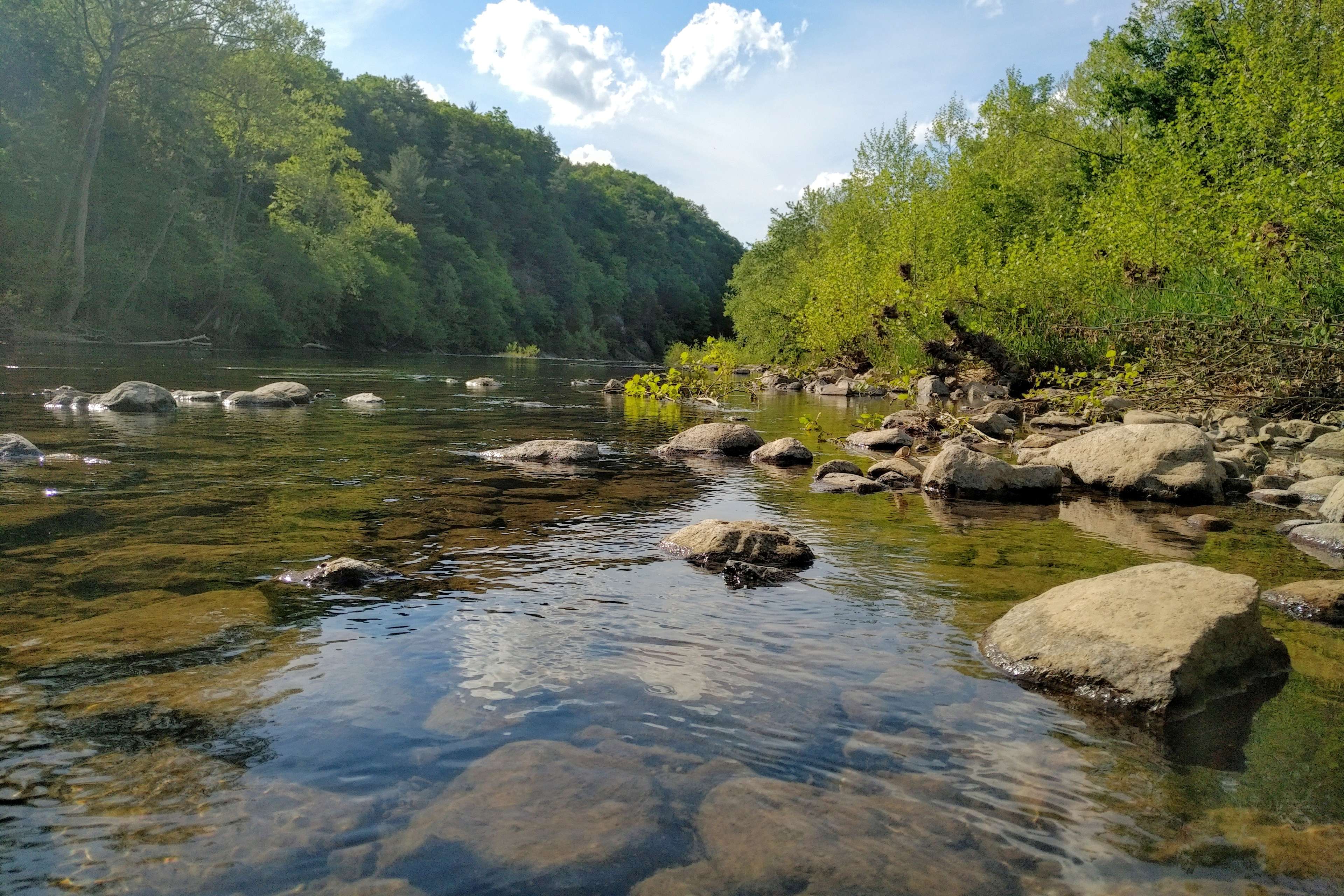 Stoney Creek Campground - Hipcamp in Great Cacapon, West Virginia