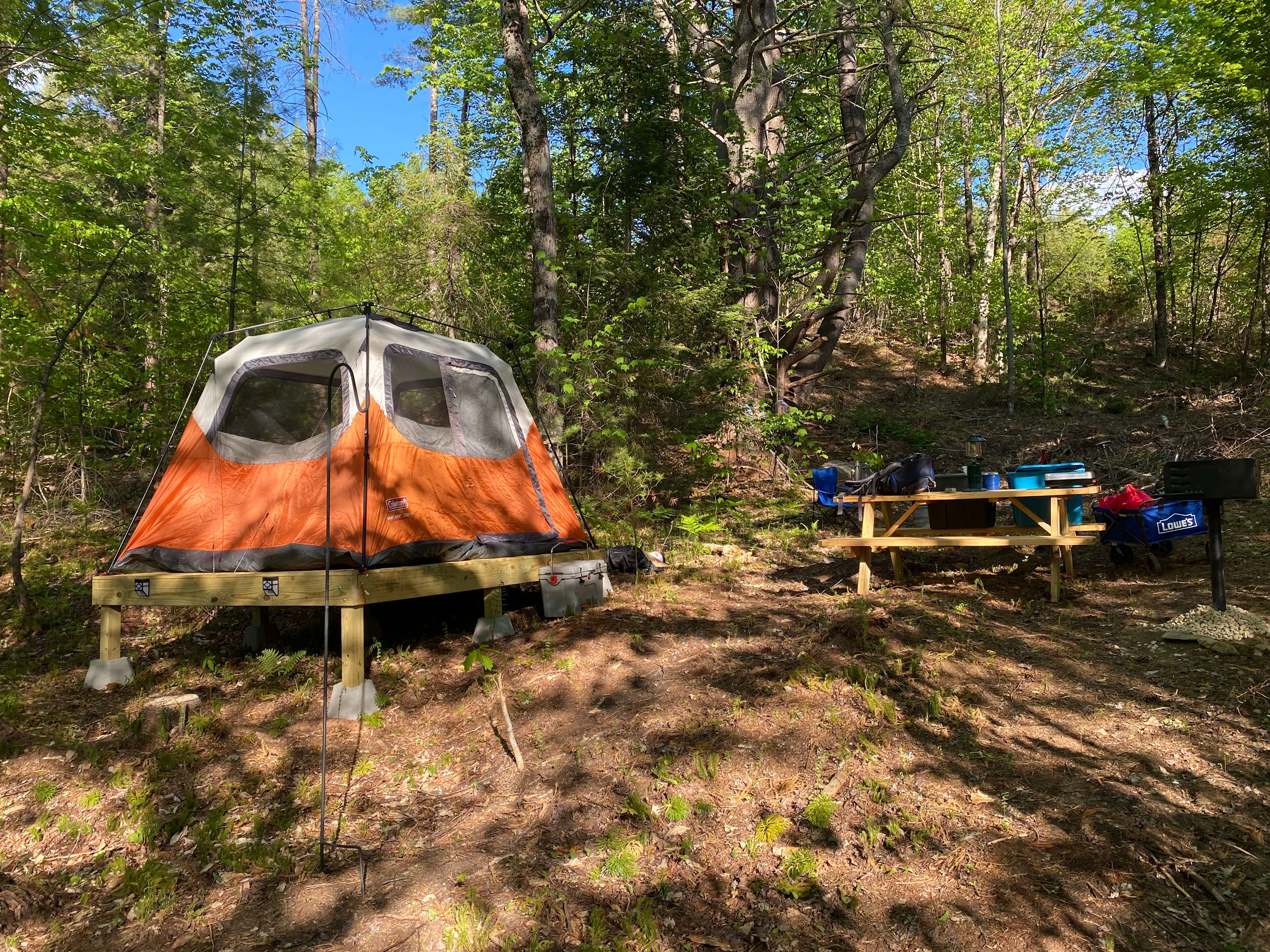 Willoughby Farm Animal Rescue Hipcamp in Fairlee, Vermont