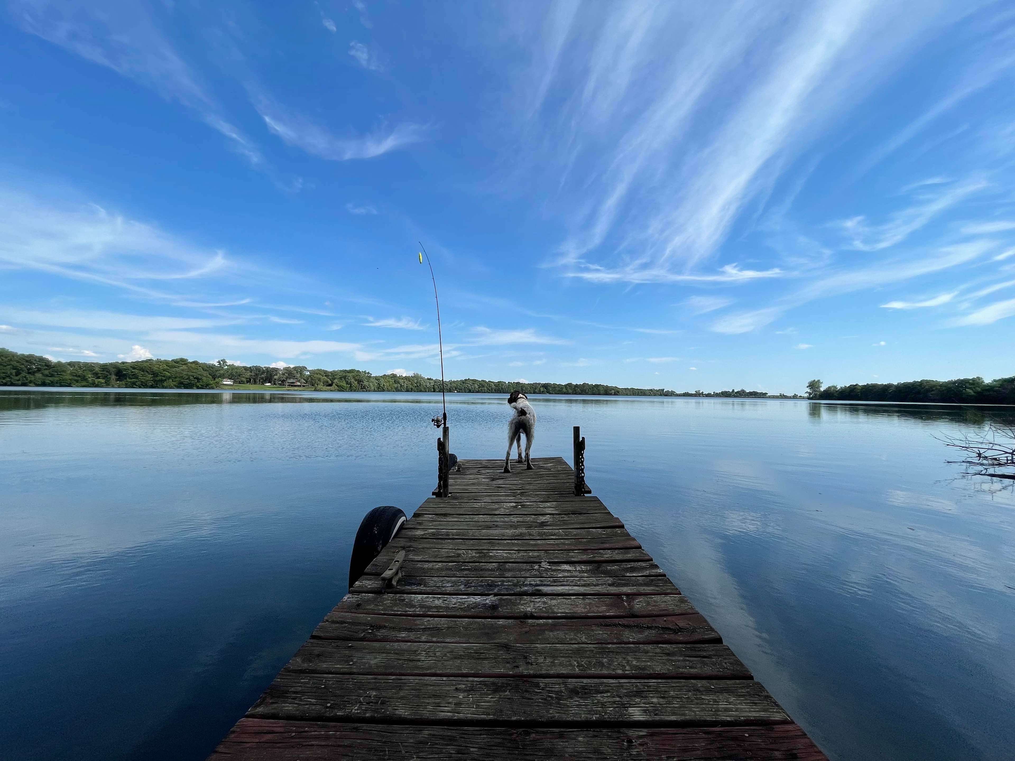 Thompson Lake Water View Hipcamp in Barrett, Minnesota