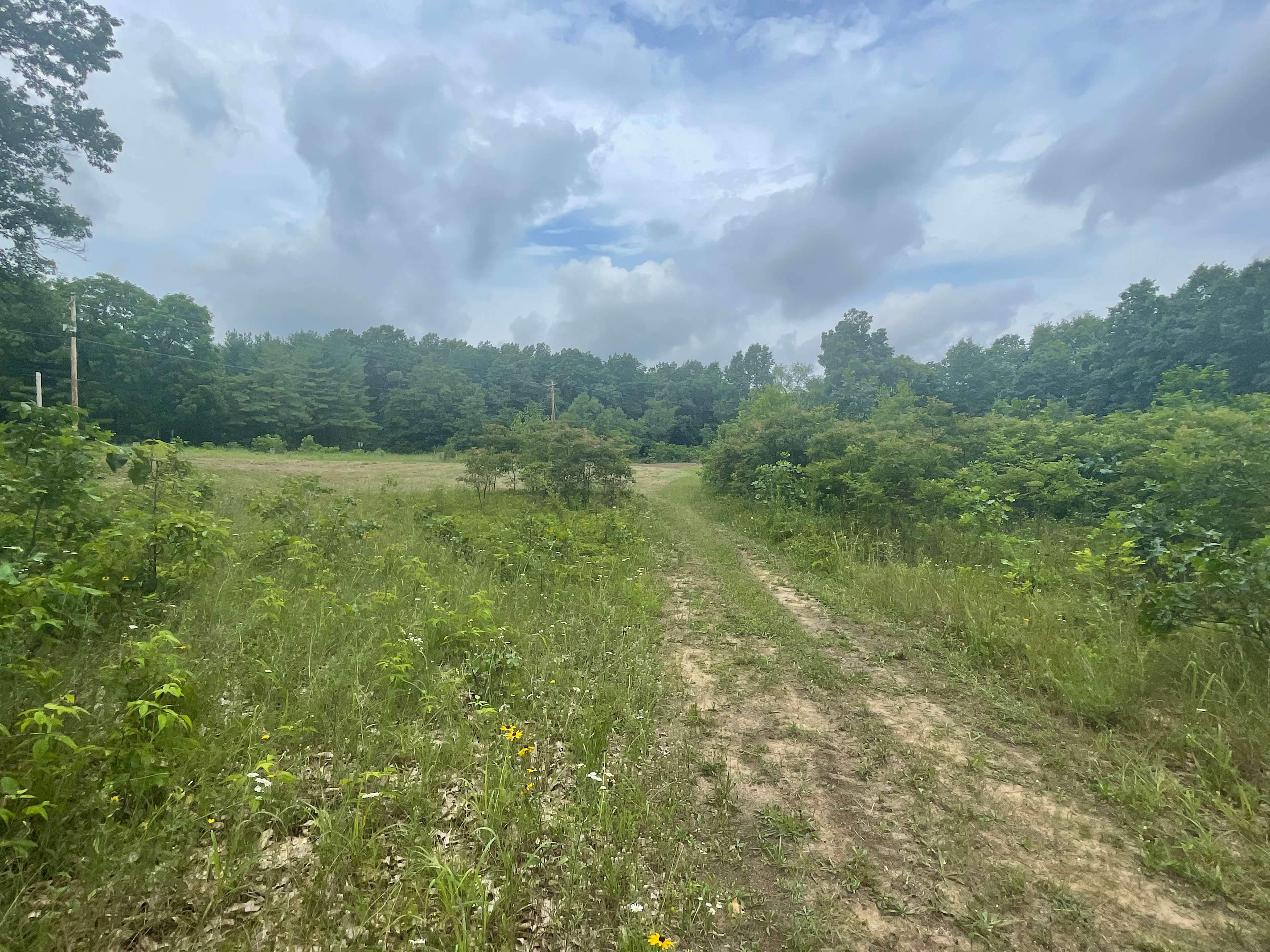 Blooming Bus Farms - Hipcamp in Niles, Michigan