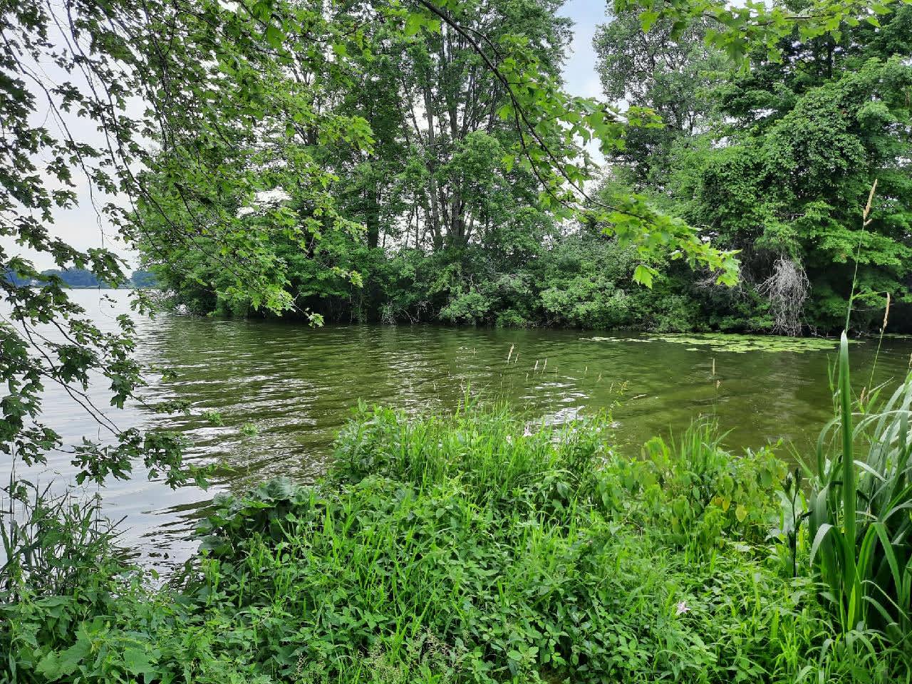 Shipshewana lake with channel Hipcamp in Shipshewana, Indiana