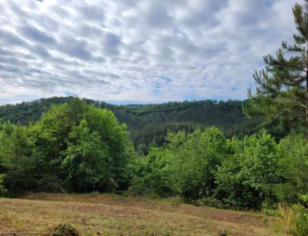 Fork Mountain Camp Hipcamp in Bostic, North Carolina