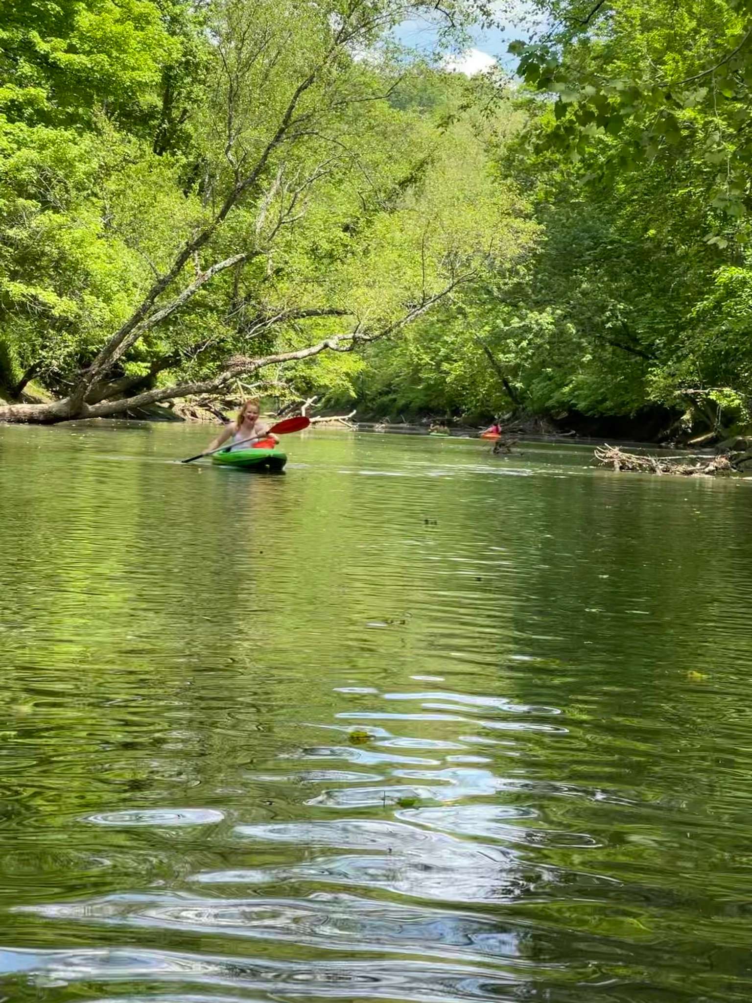 Fallsburg Frontier Campground Hipcamp in , Kentucky