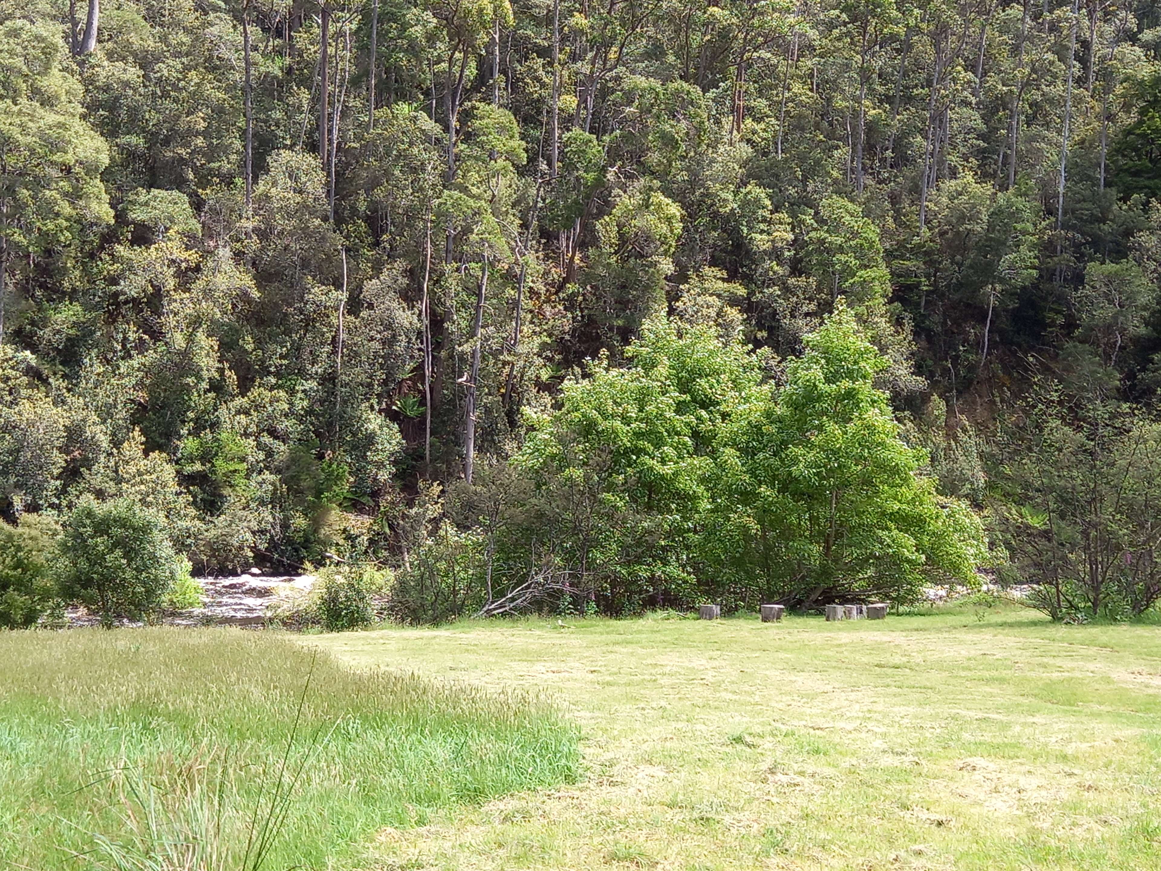 Rivers Edge Hipcamp in Gunns Plains, Tasmania