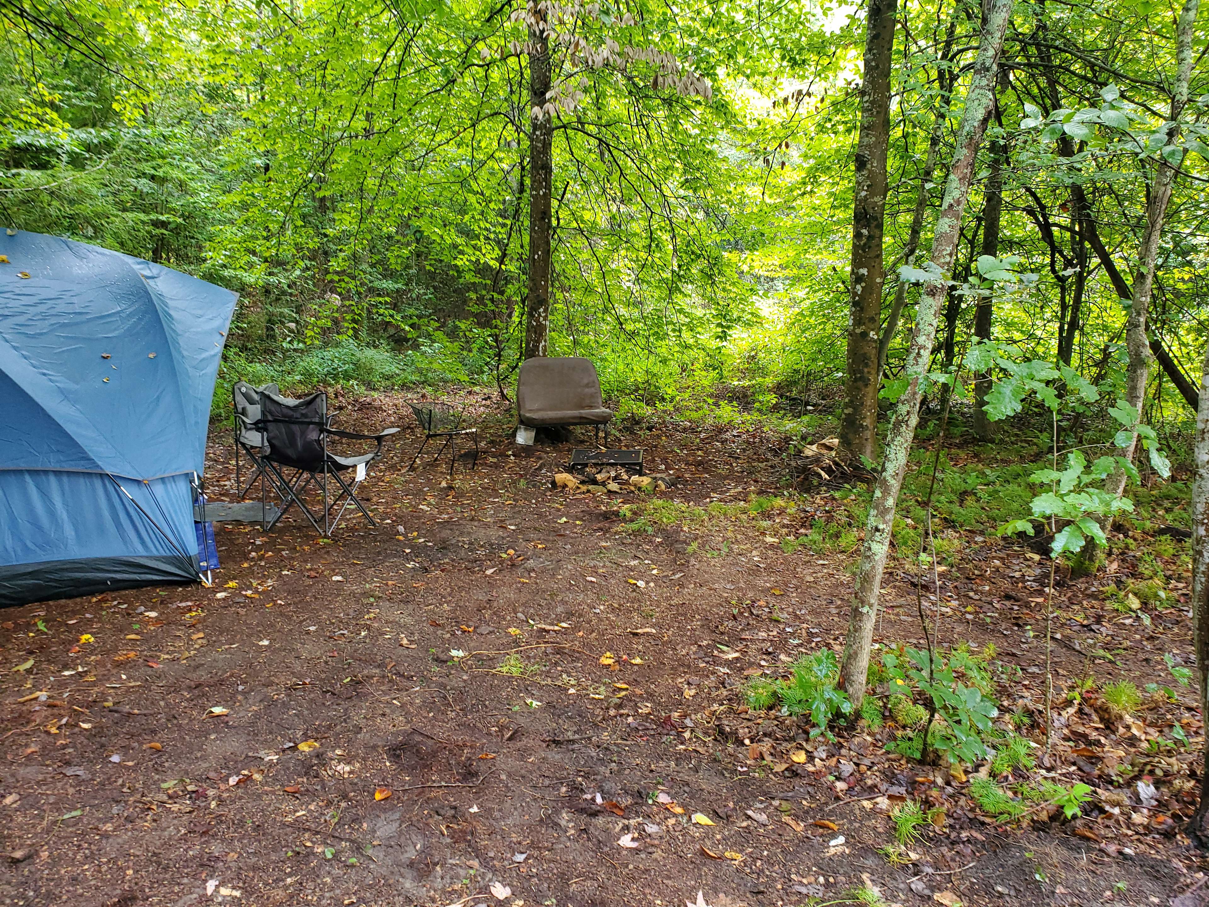 Private primitive camping Hipcamp in Whitley City, Kentucky