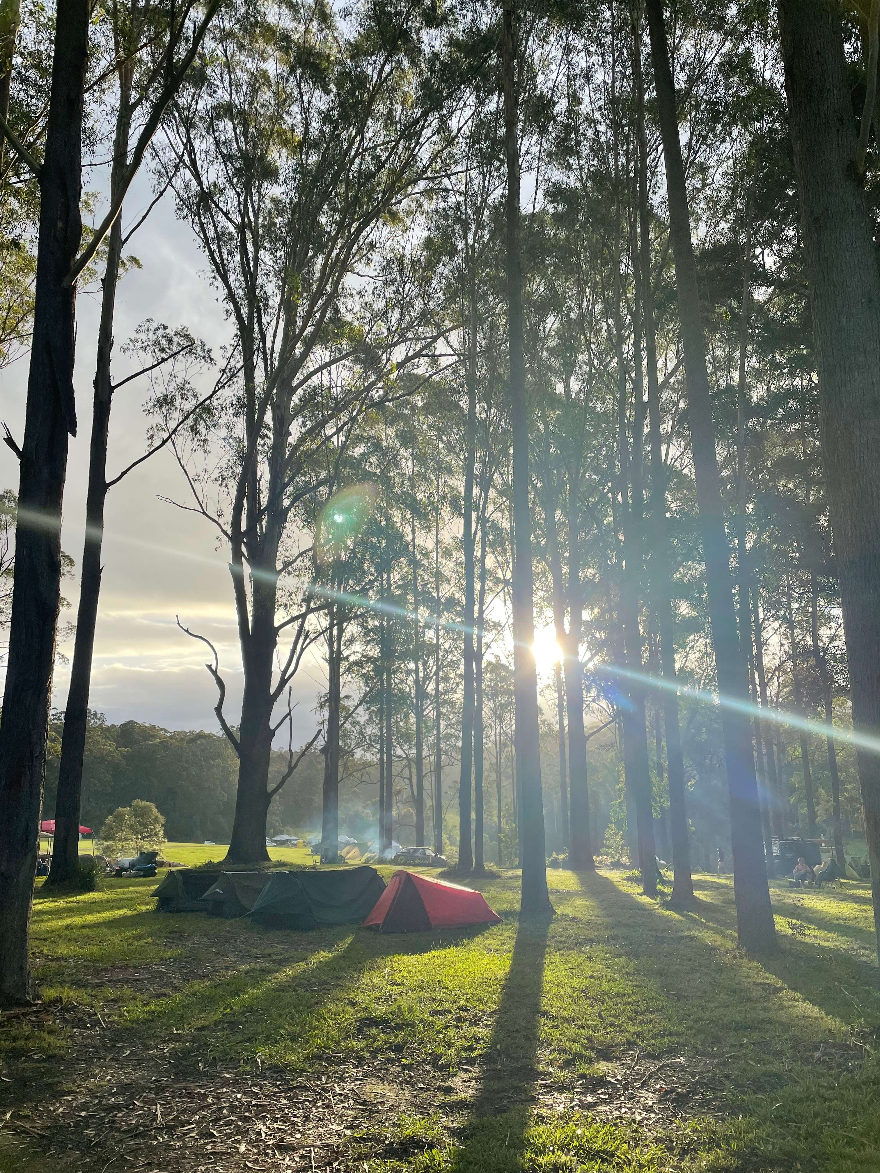 Coffs Harbour Camping & 4WD Hipcamp in Bucca, New South Wales