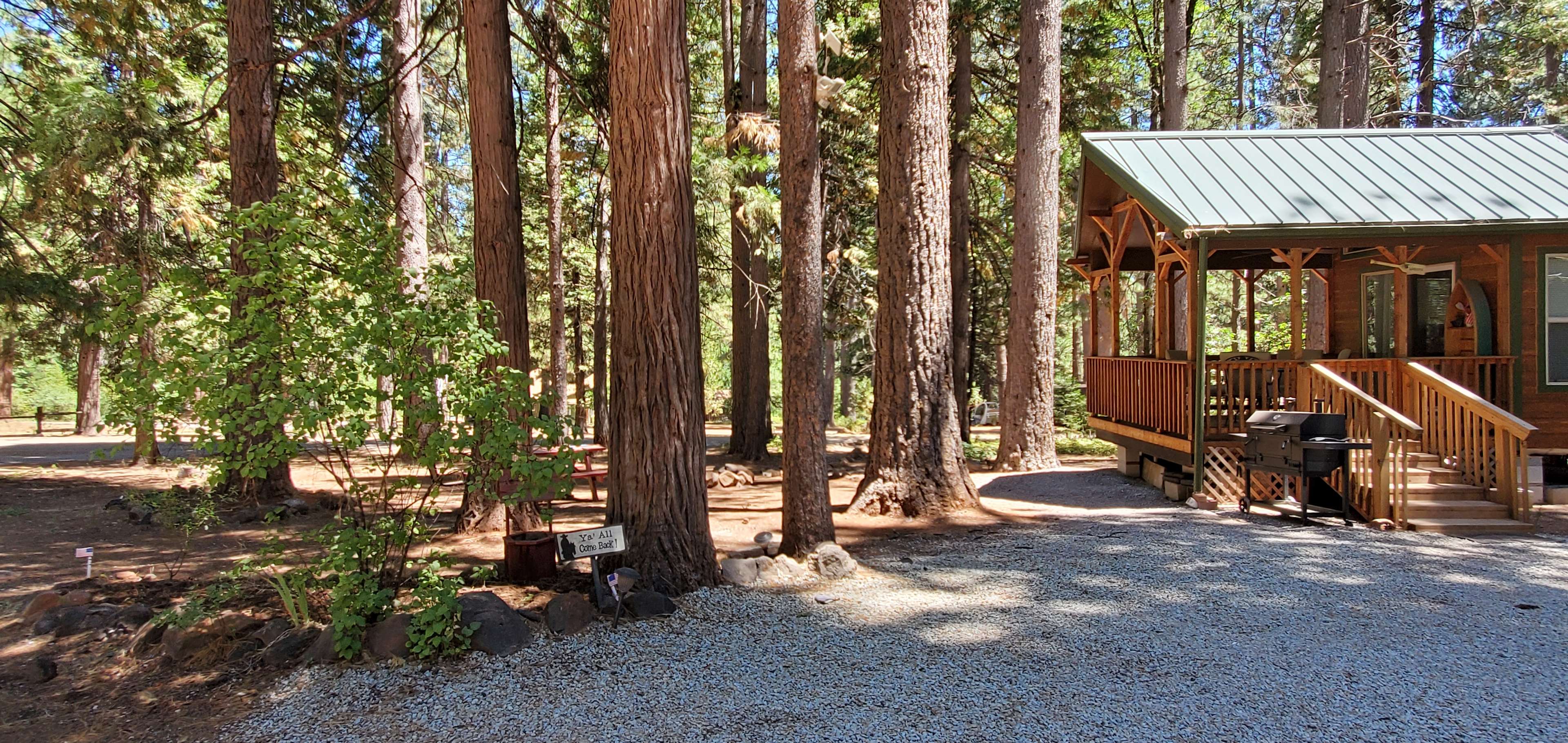 Peter's Forest Vacation Rentals Hipcamp in Shingletown, California