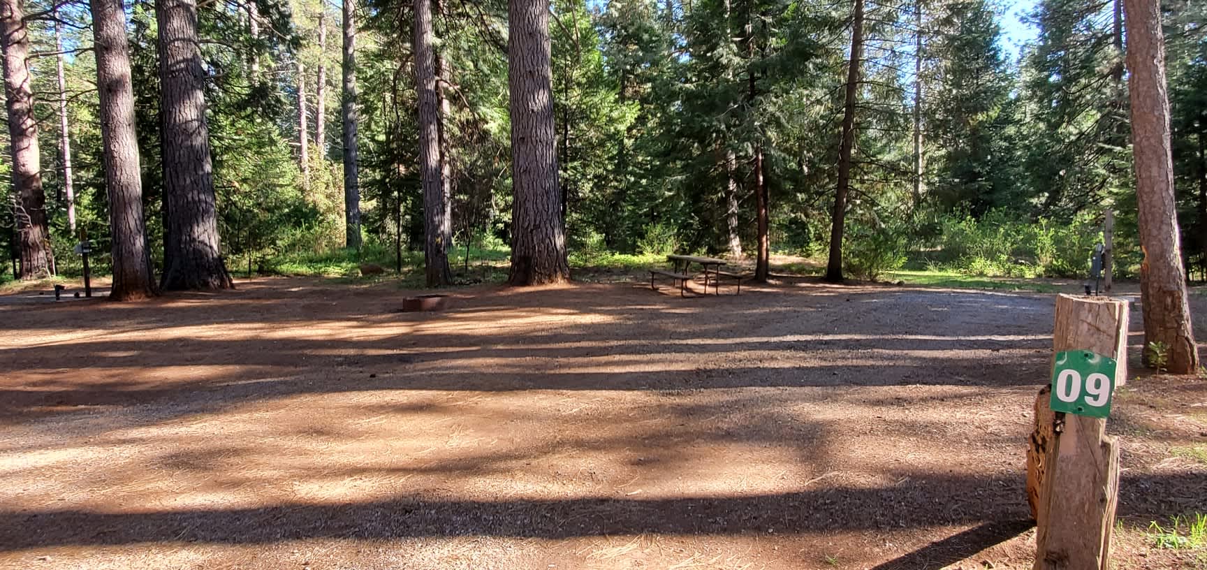 Peter's Forest Vacation Rentals Hipcamp in Shingletown, California