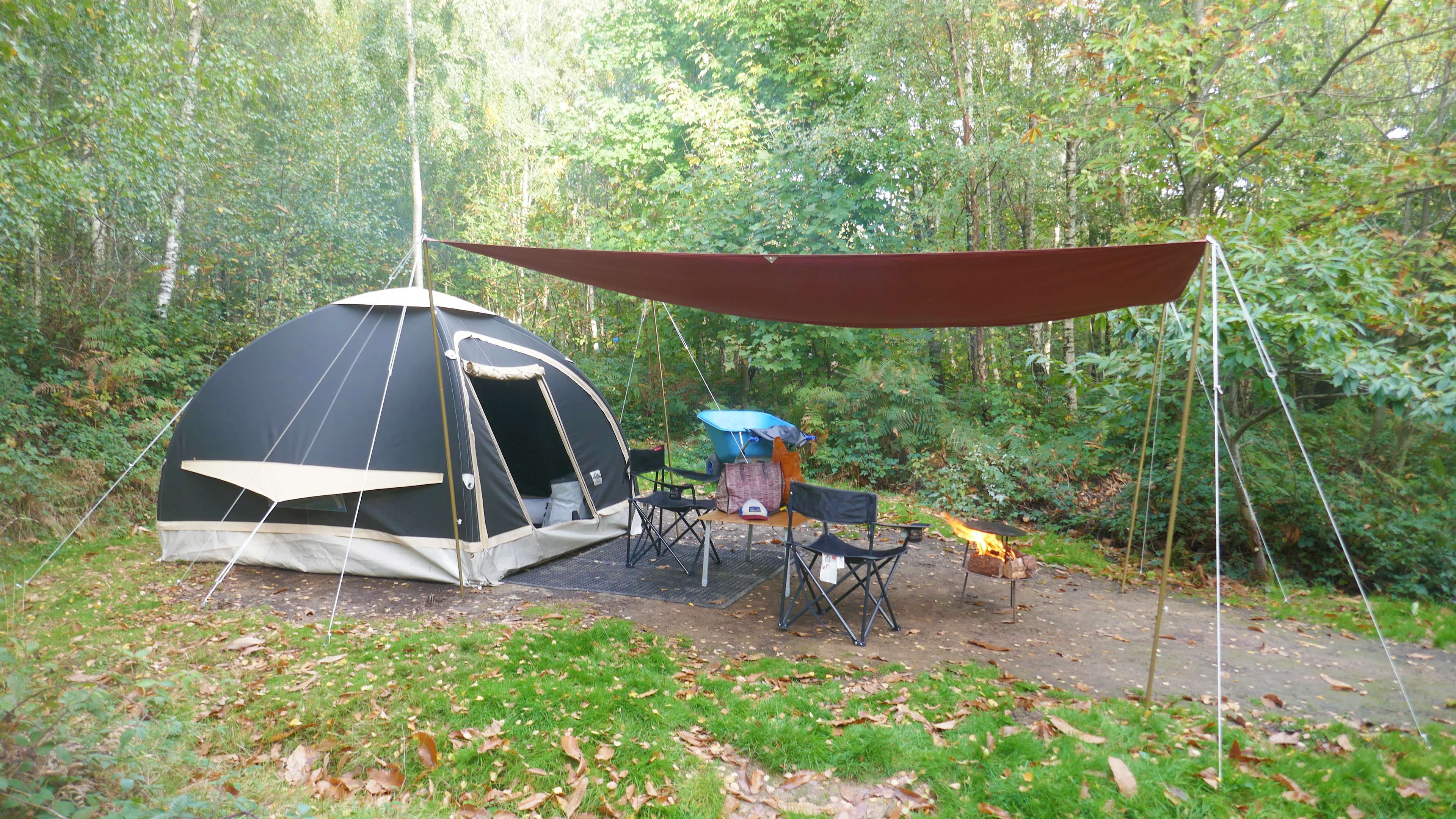 Beech Estate Campsite Hipcamp in East Sussex, England