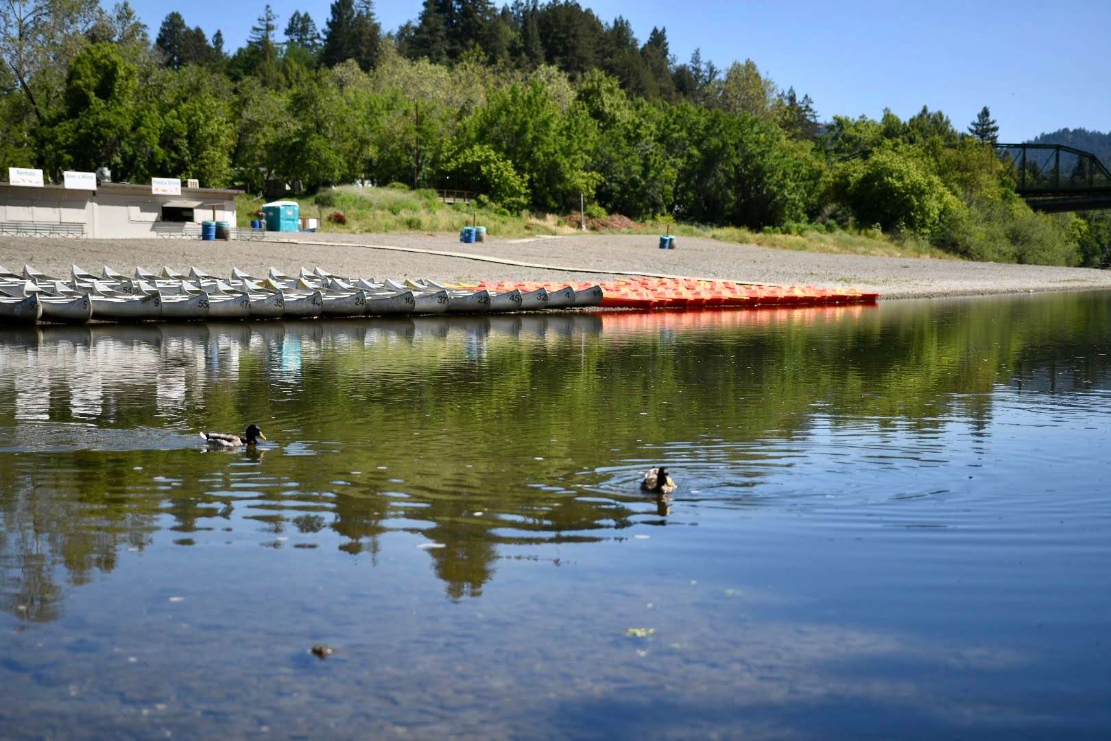 Johnson's Beach and Campground Hipcamp in Guerneville, California