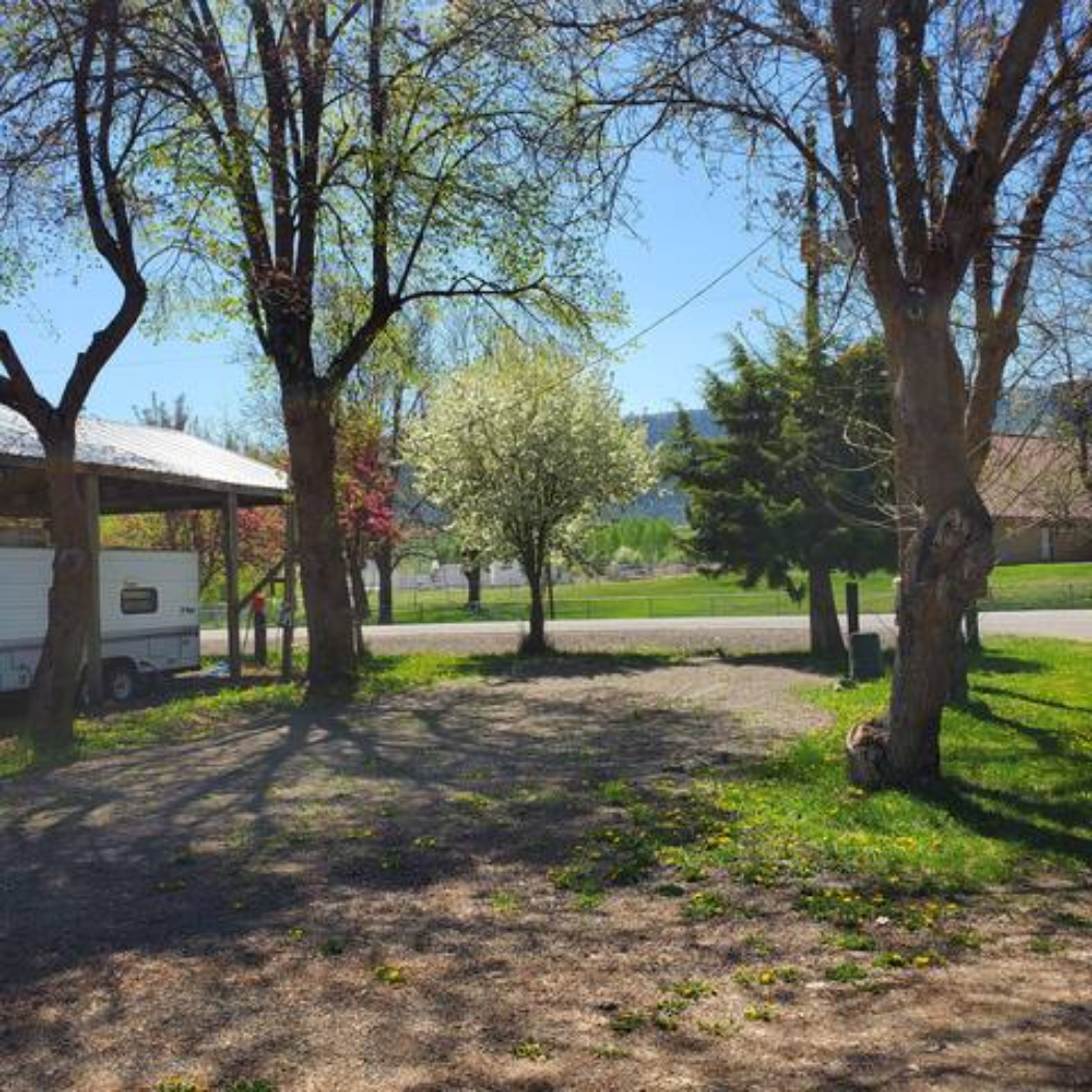 Quail Run RV Park Hipcamp in Halfway, Oregon