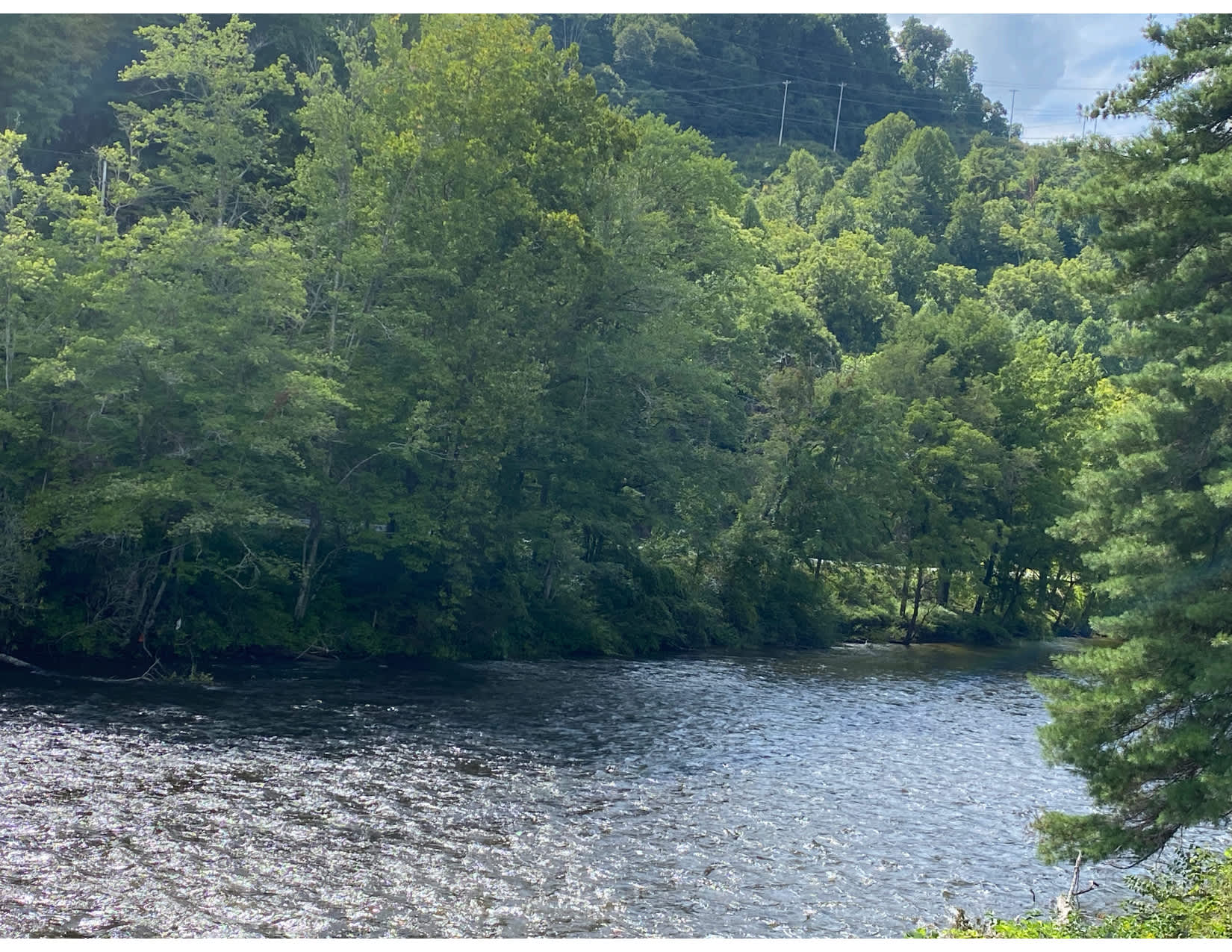 Speckled Trout RV Park Hipcamp in Cullowhee, North Carolina