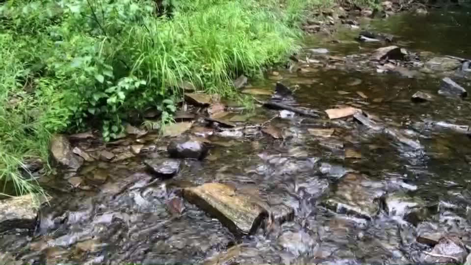 The Woods at Tilden Pond Hipcamp in Belmont, Maine