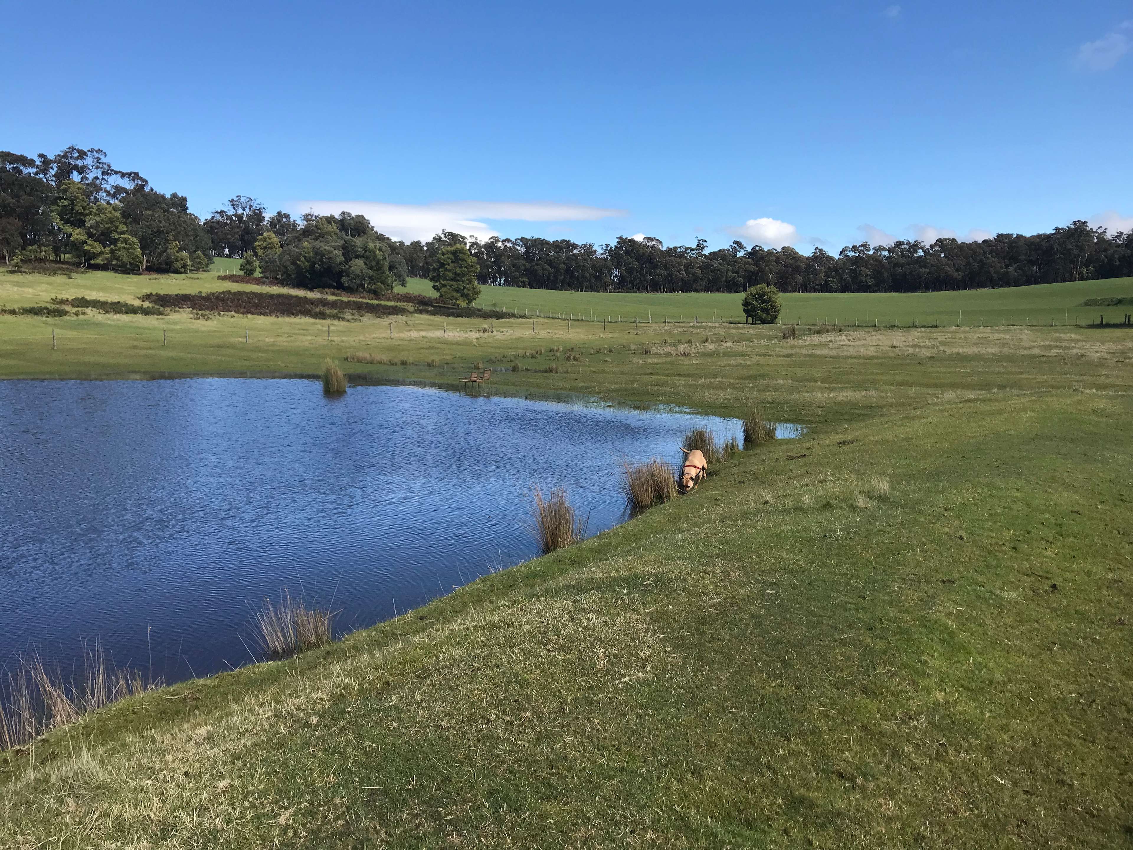Symphony Farm Hipcamp in Raglan, Victoria