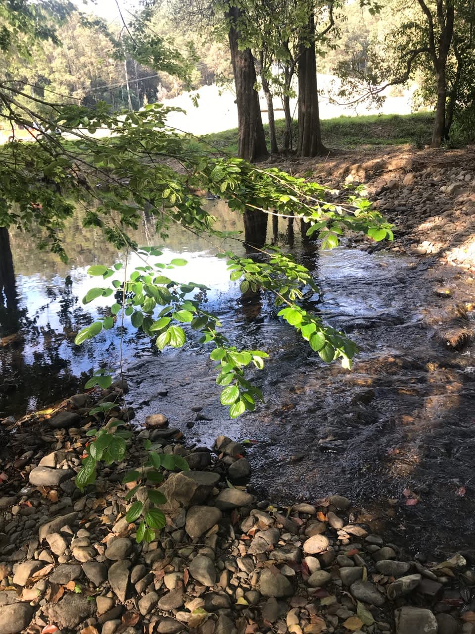 Crystal Creek Springs Hipcamp in , New South Wales