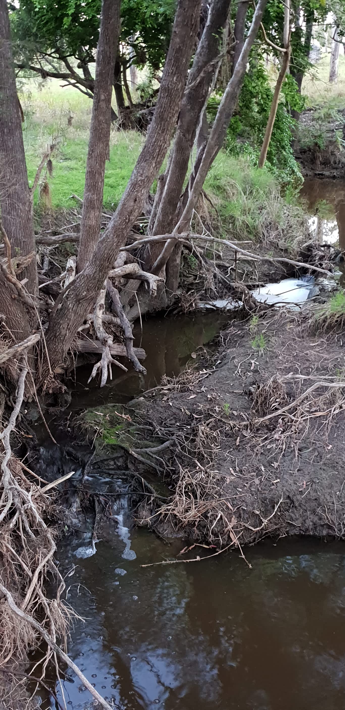 Willow Waters Hipcamp in Barney View, Queensland
