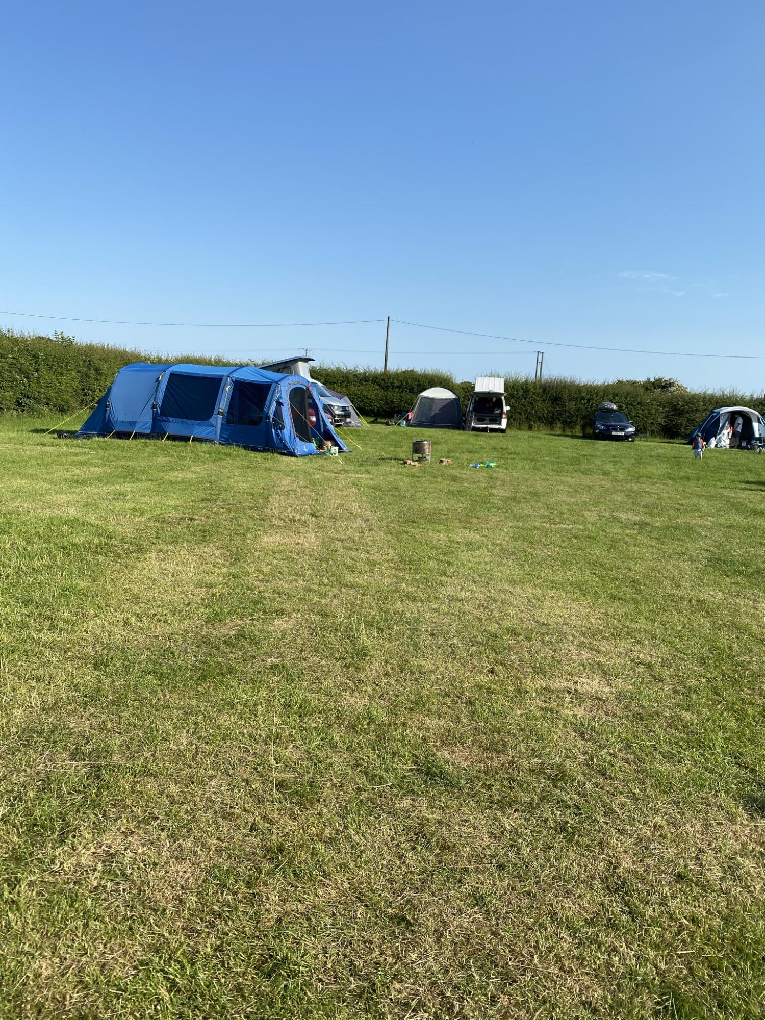 Creekside Grass Electric Pitch