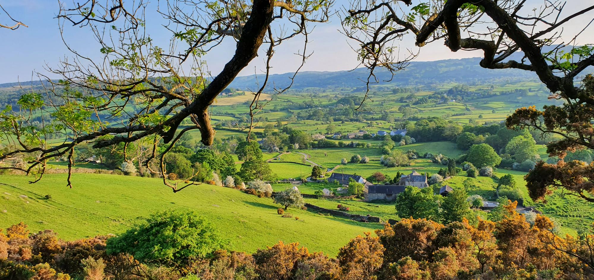 Damson View