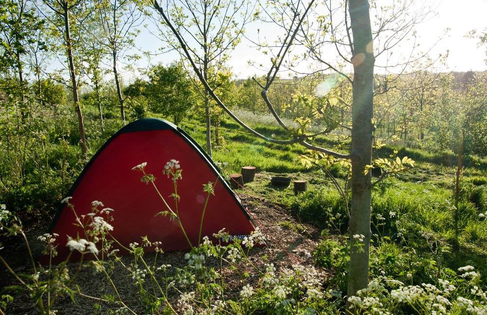 Back-to-basics, natural camping with campfires encouraged and easy walks to the local attractions in Frome.