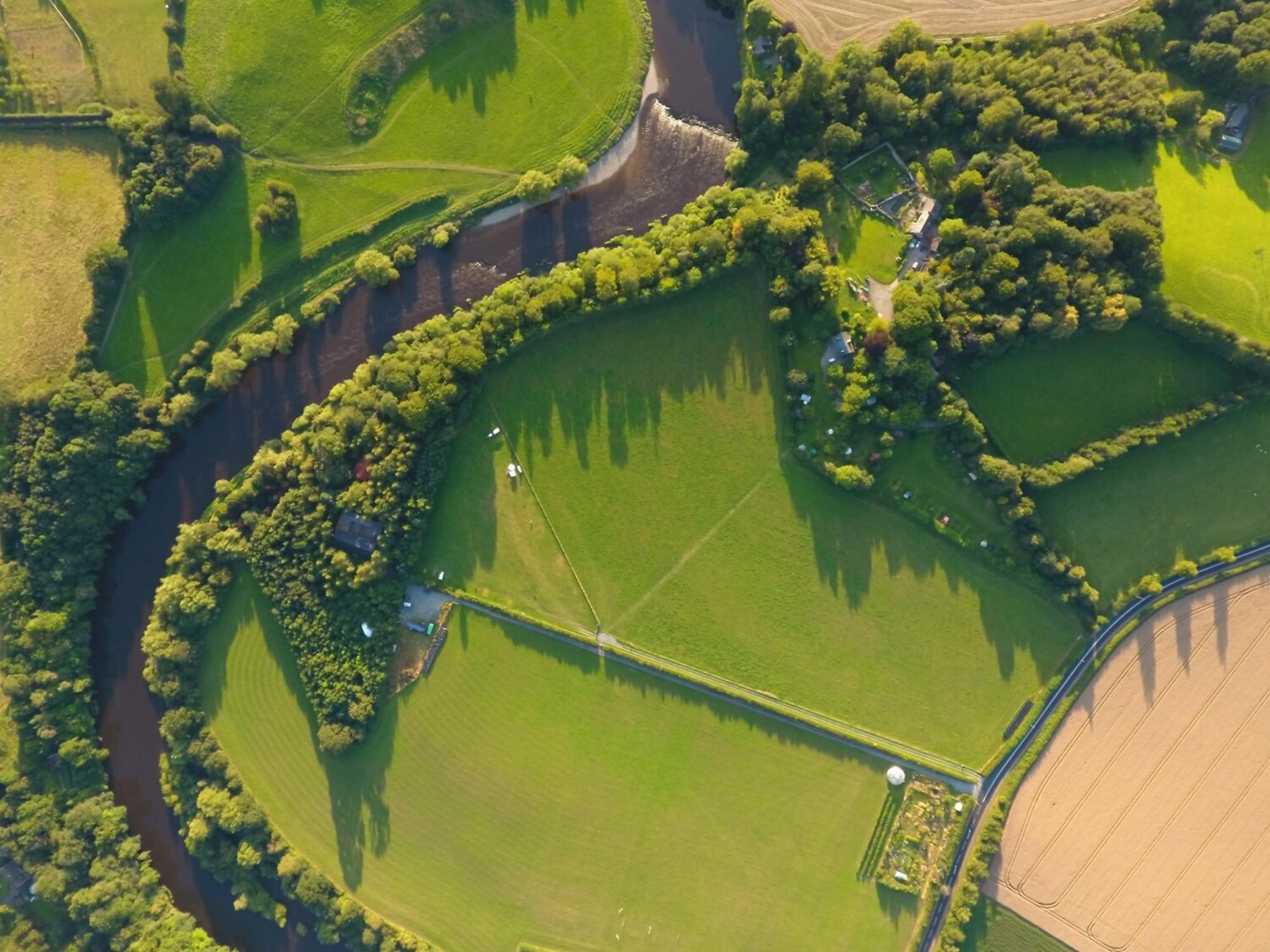 Racquety Farm