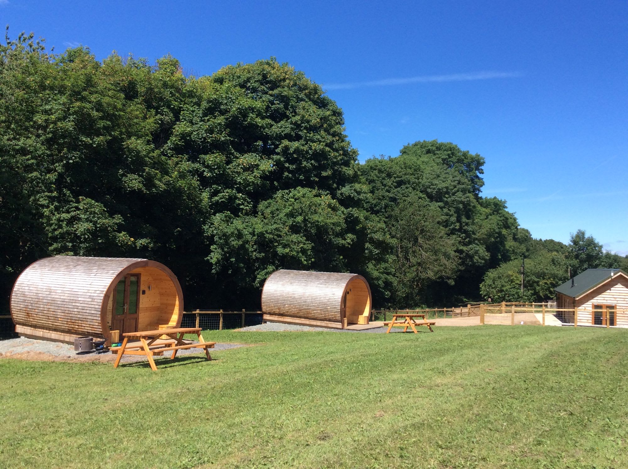 Beech Pod