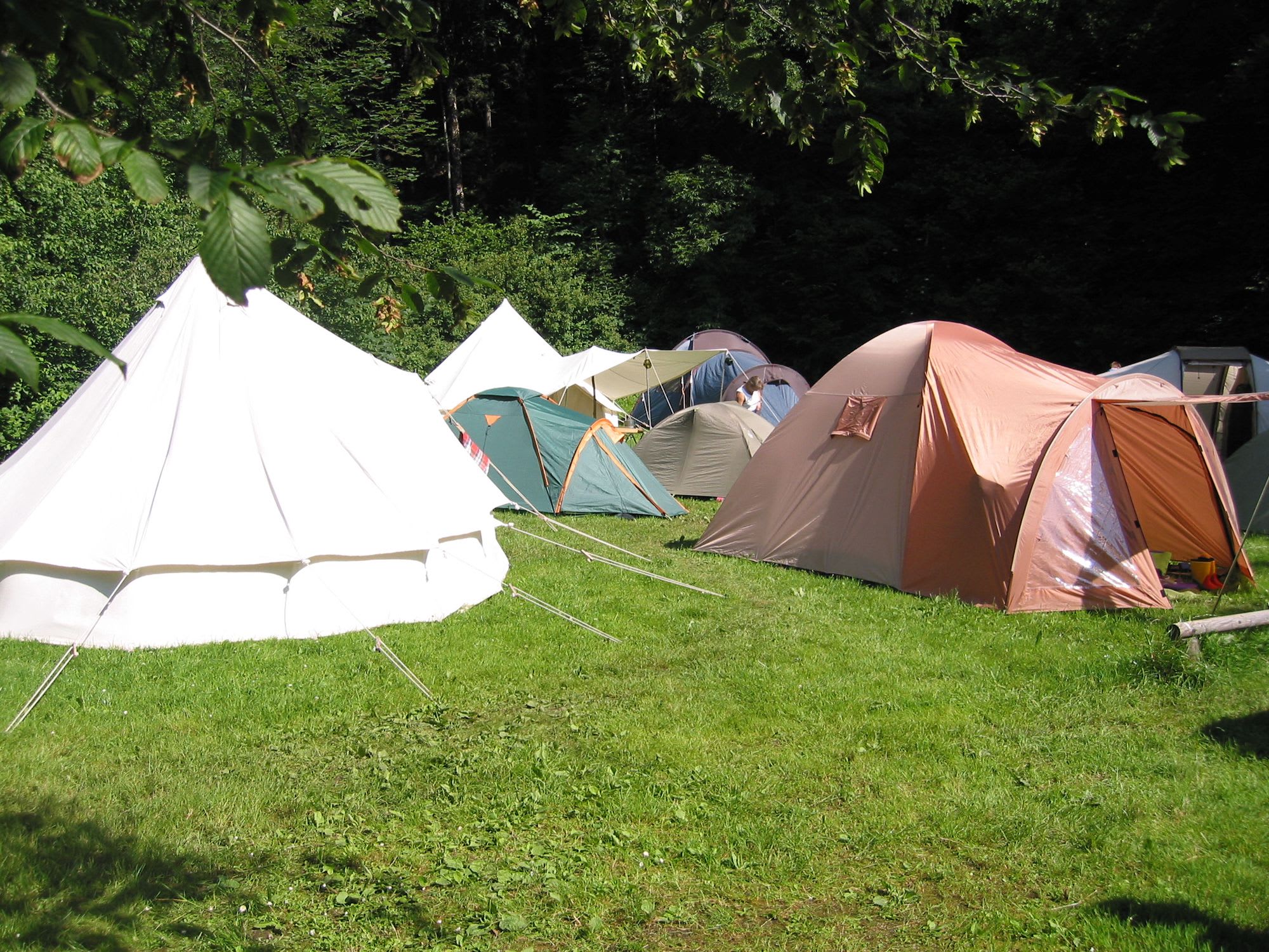 Camping Zellersee - Hipcamp