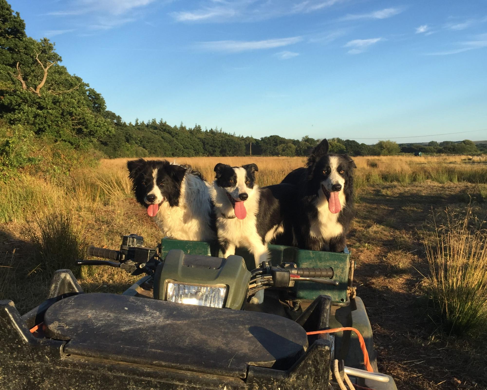 Snelling Farm Campsite
