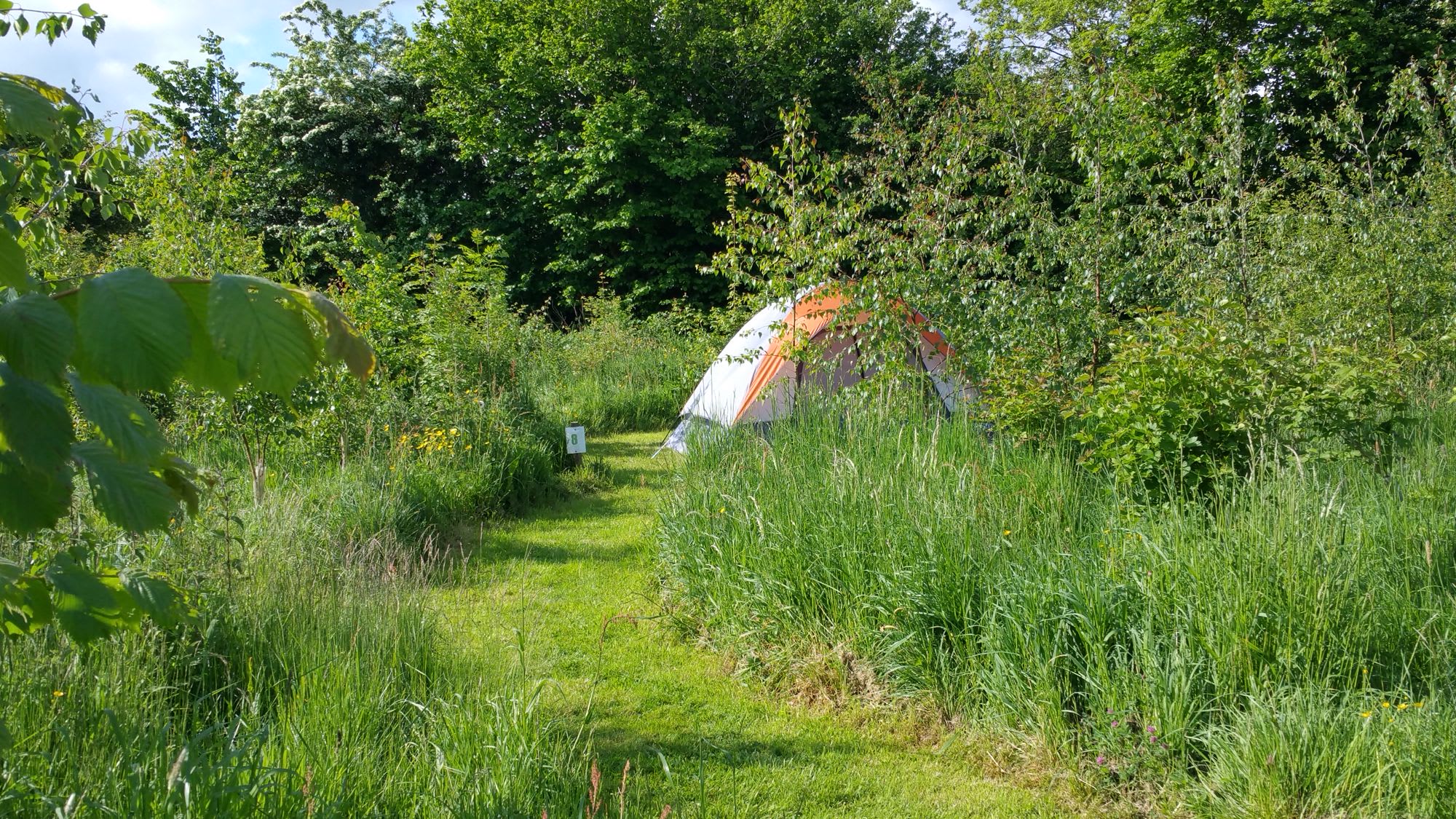 Small grass pitch for tents only