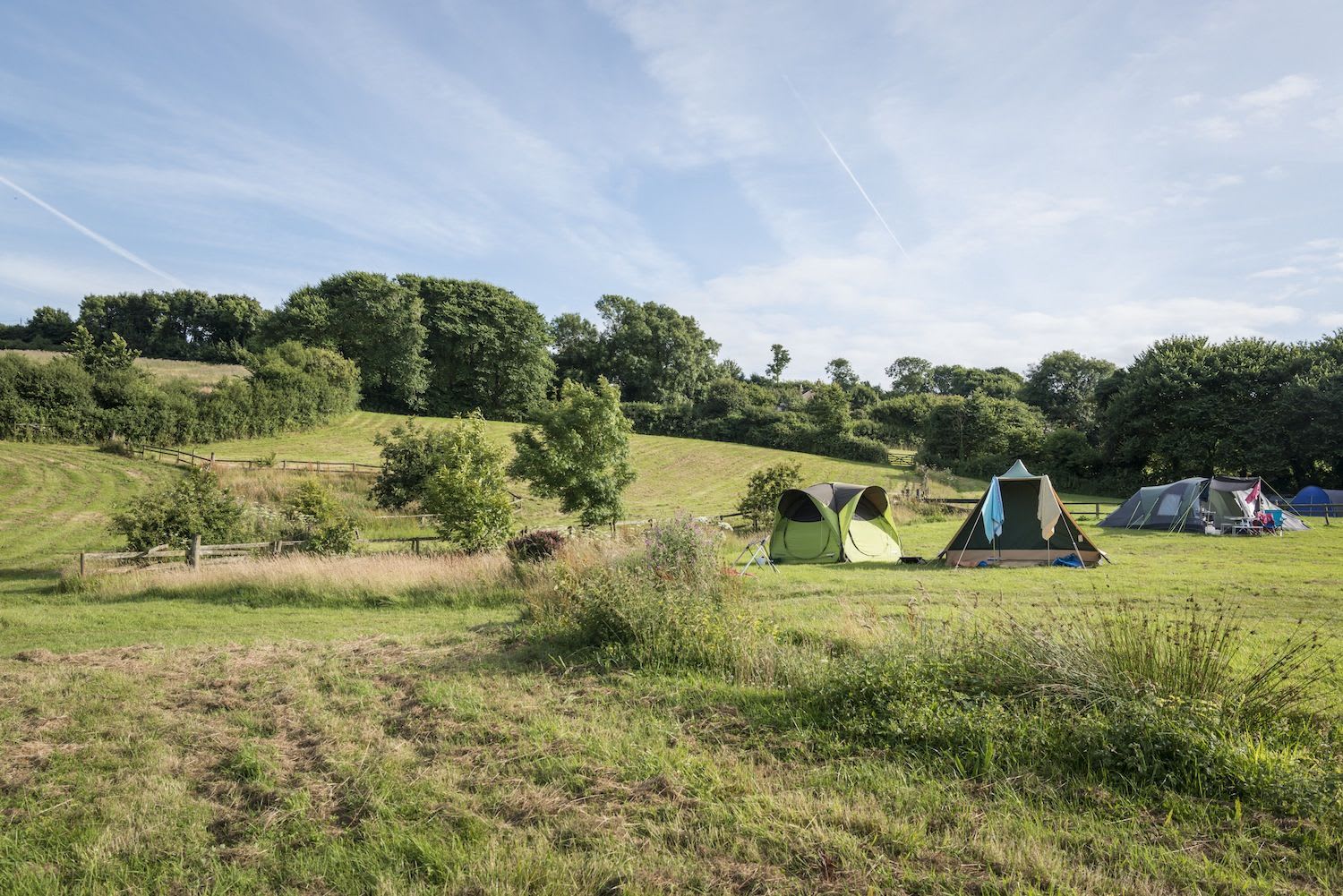 A secret, secluded campsite with wonderful Dorset views.