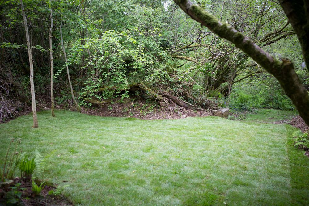 Wild Camping - Private Pitch - Poppy's