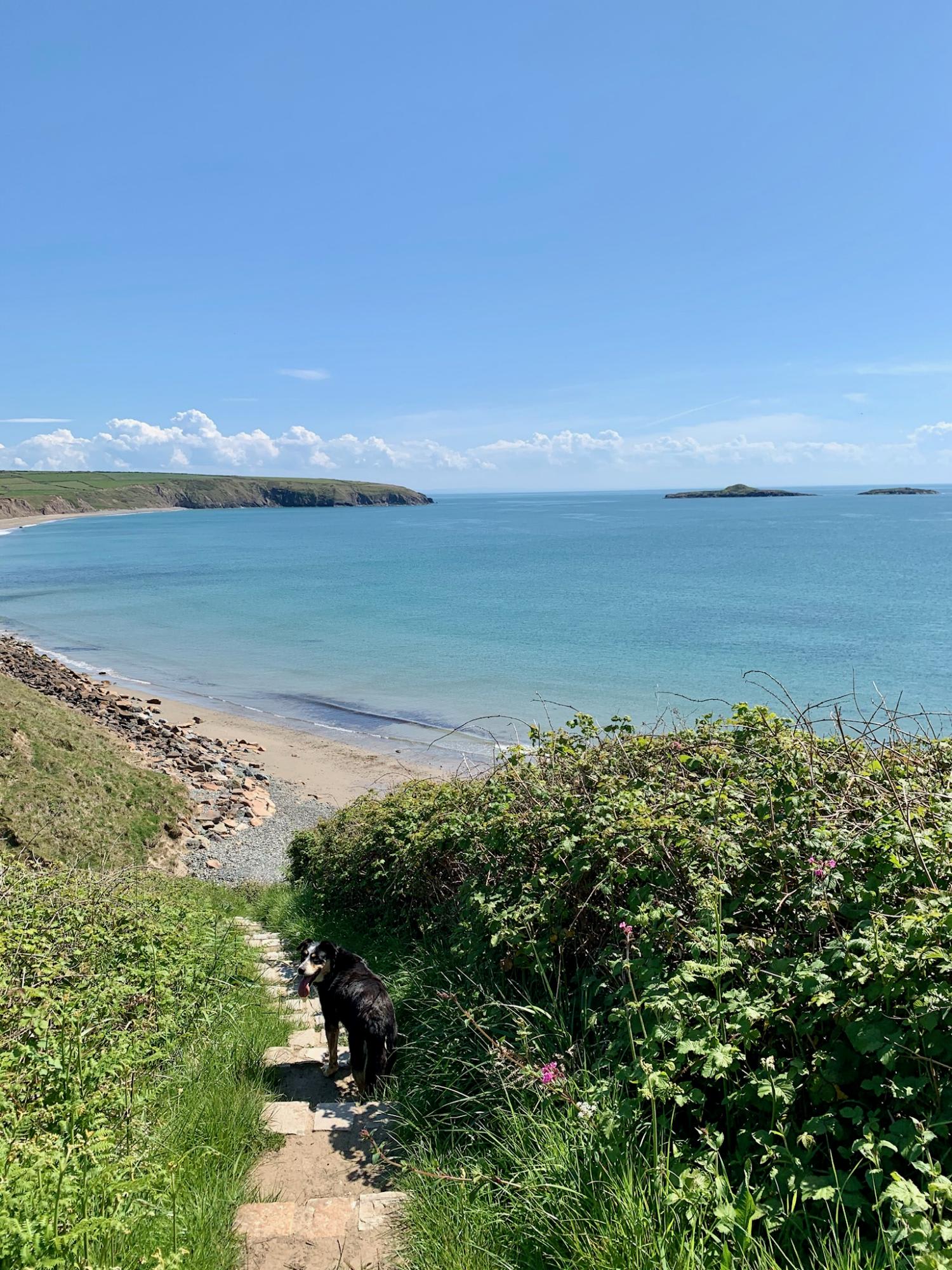 Mynydd Mawr