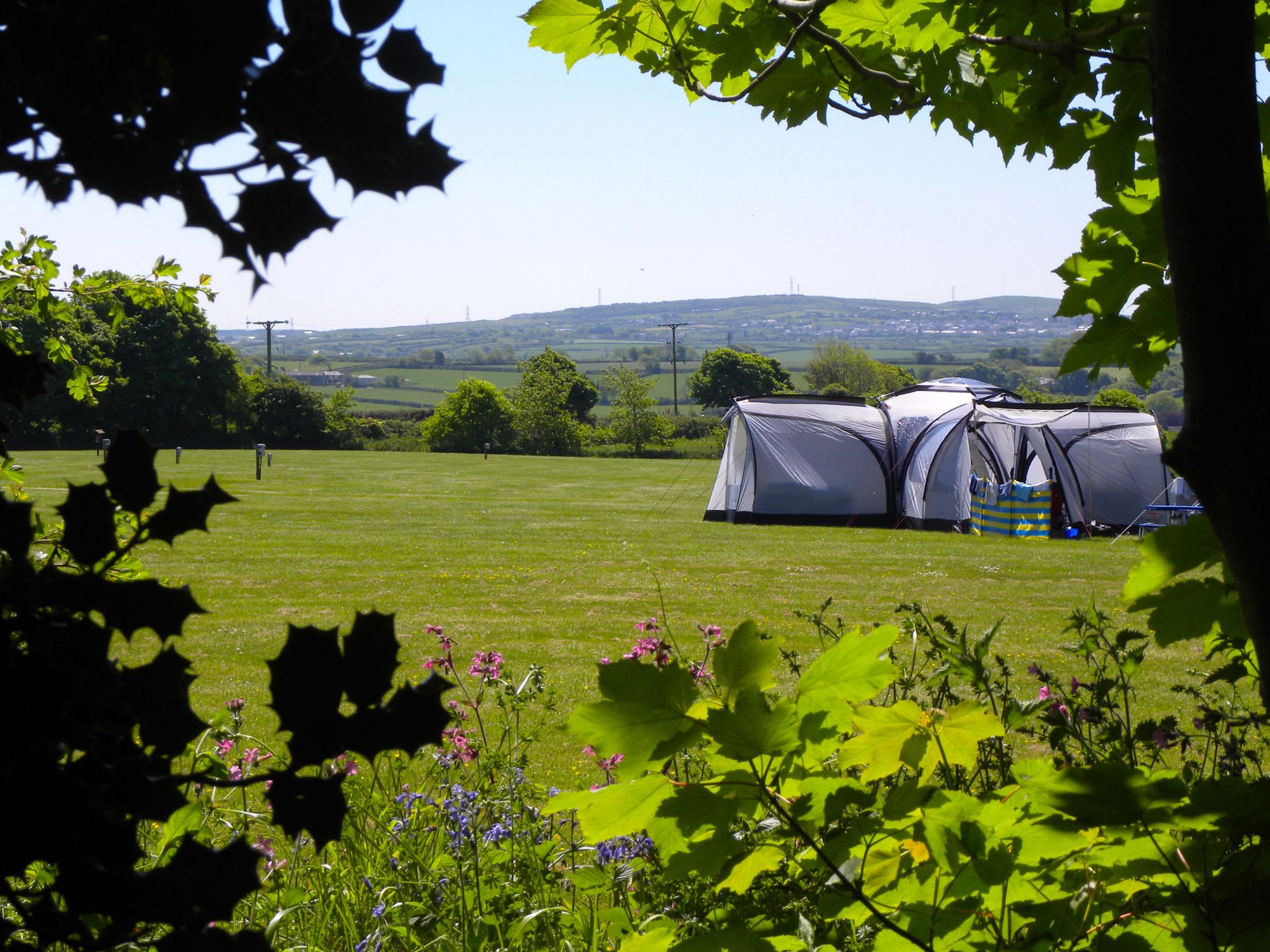 The 36 acres of fields, gardens and woodland that surround Trewan Hall make for an idyllic place to pitch up.