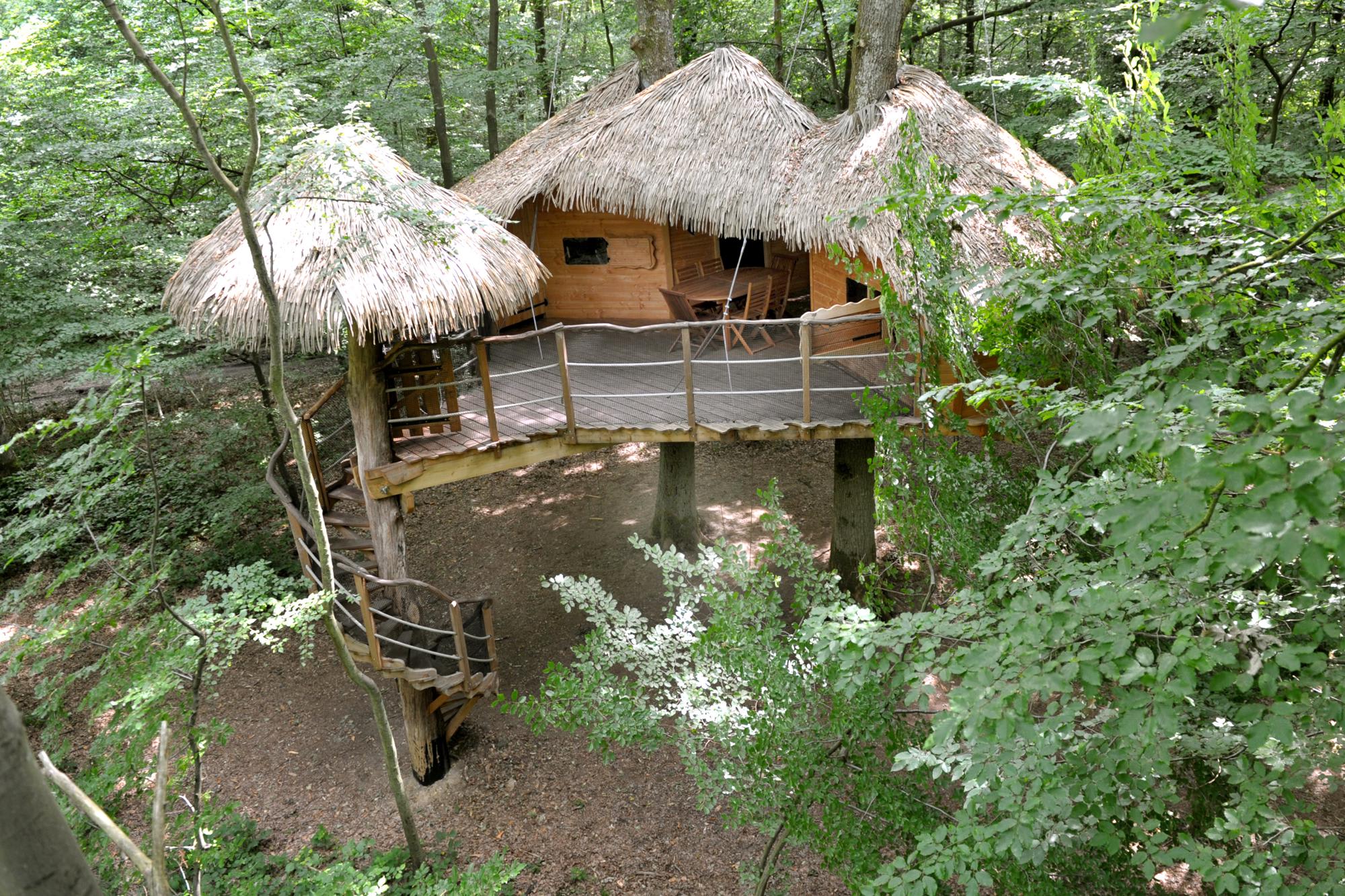 "Robin des Bois" Tree House