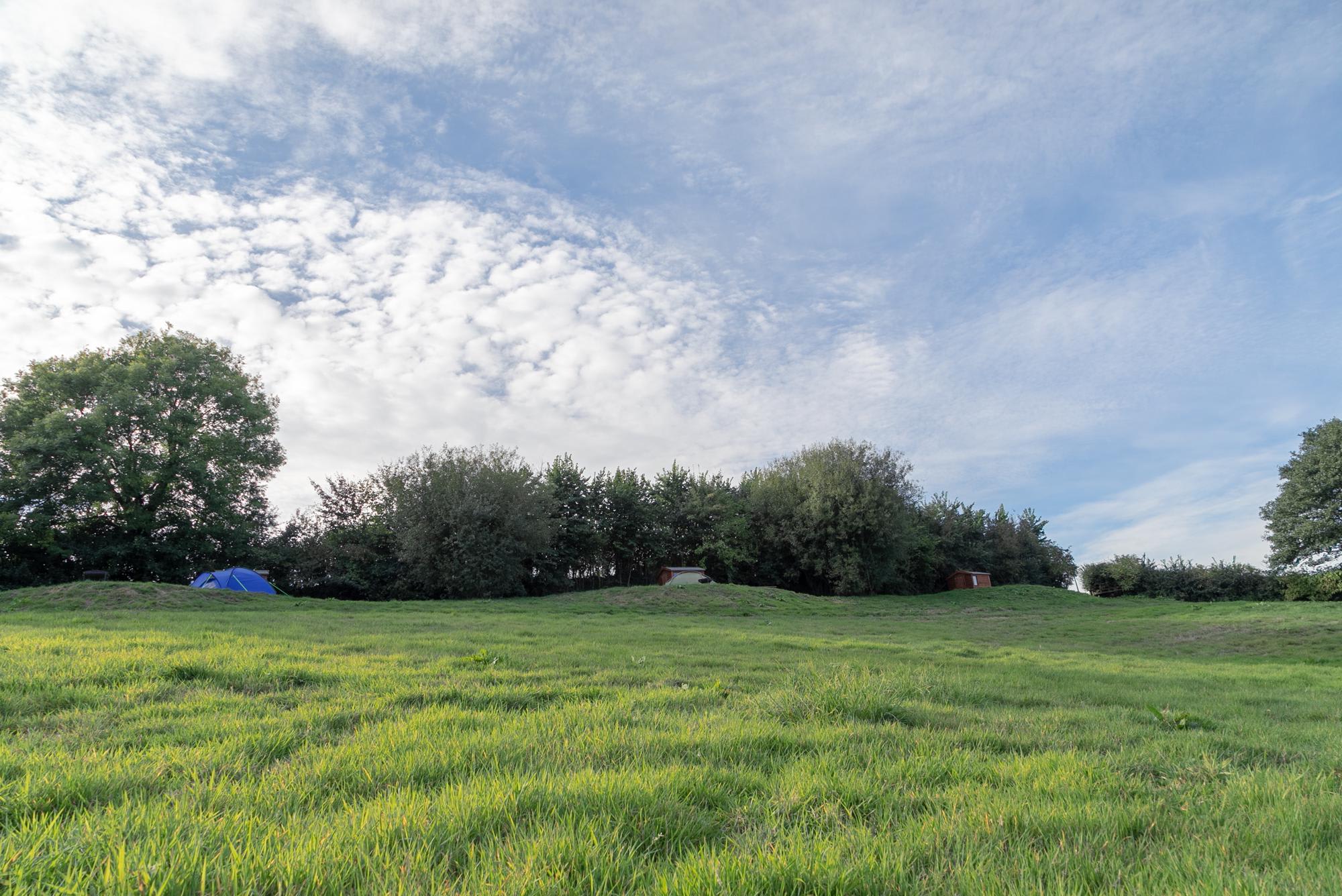 Billingsmoor Farm