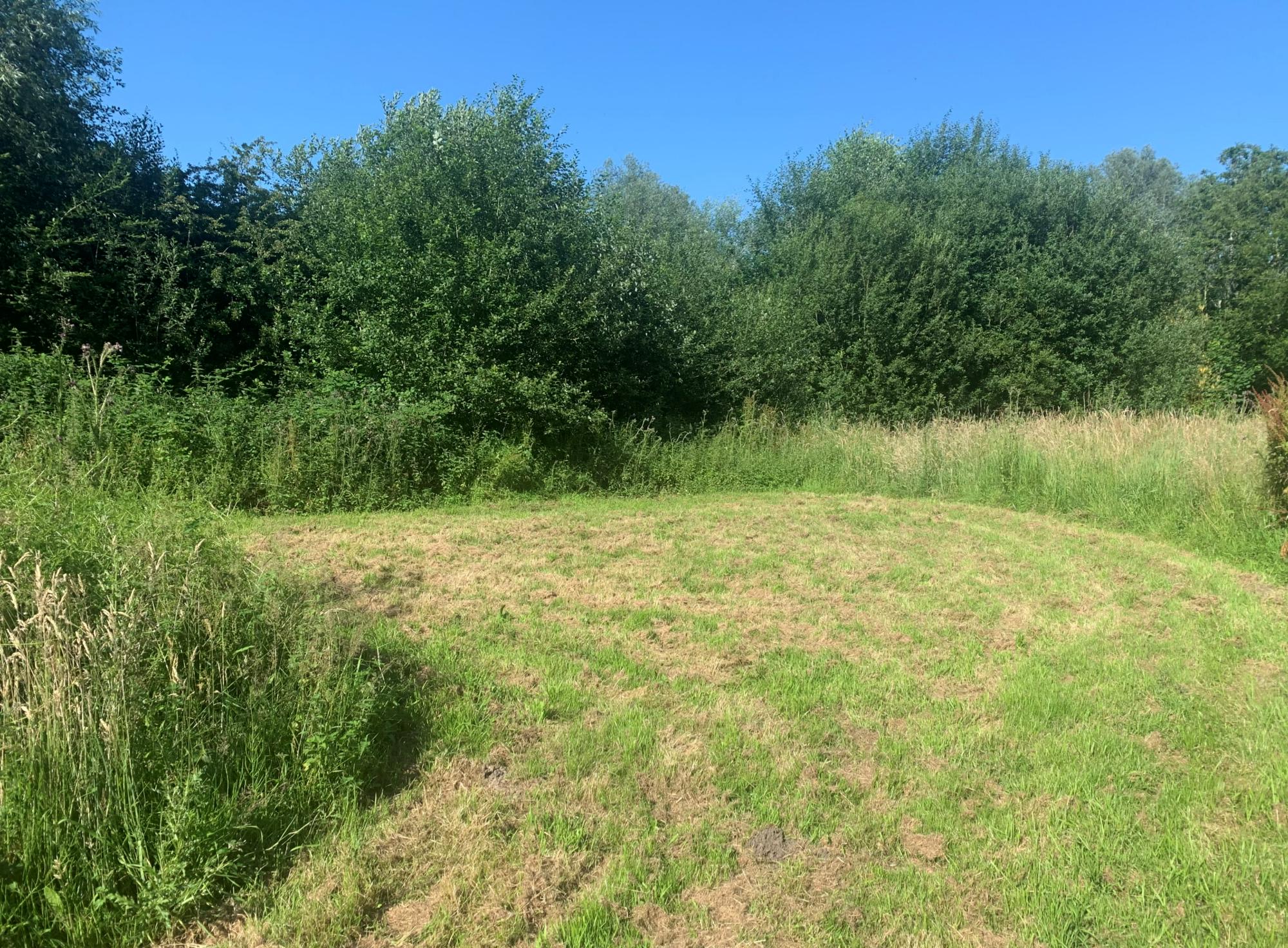 Archer’s Field