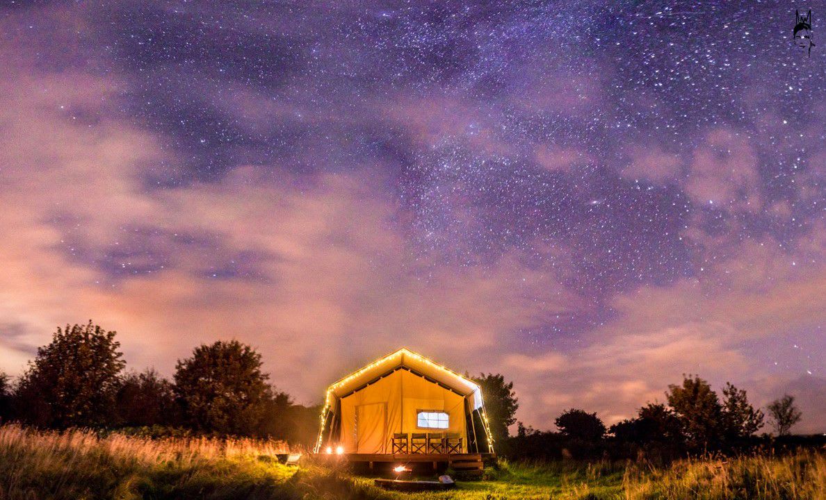Top Of The Woods - Care free Welsh camping & glamping