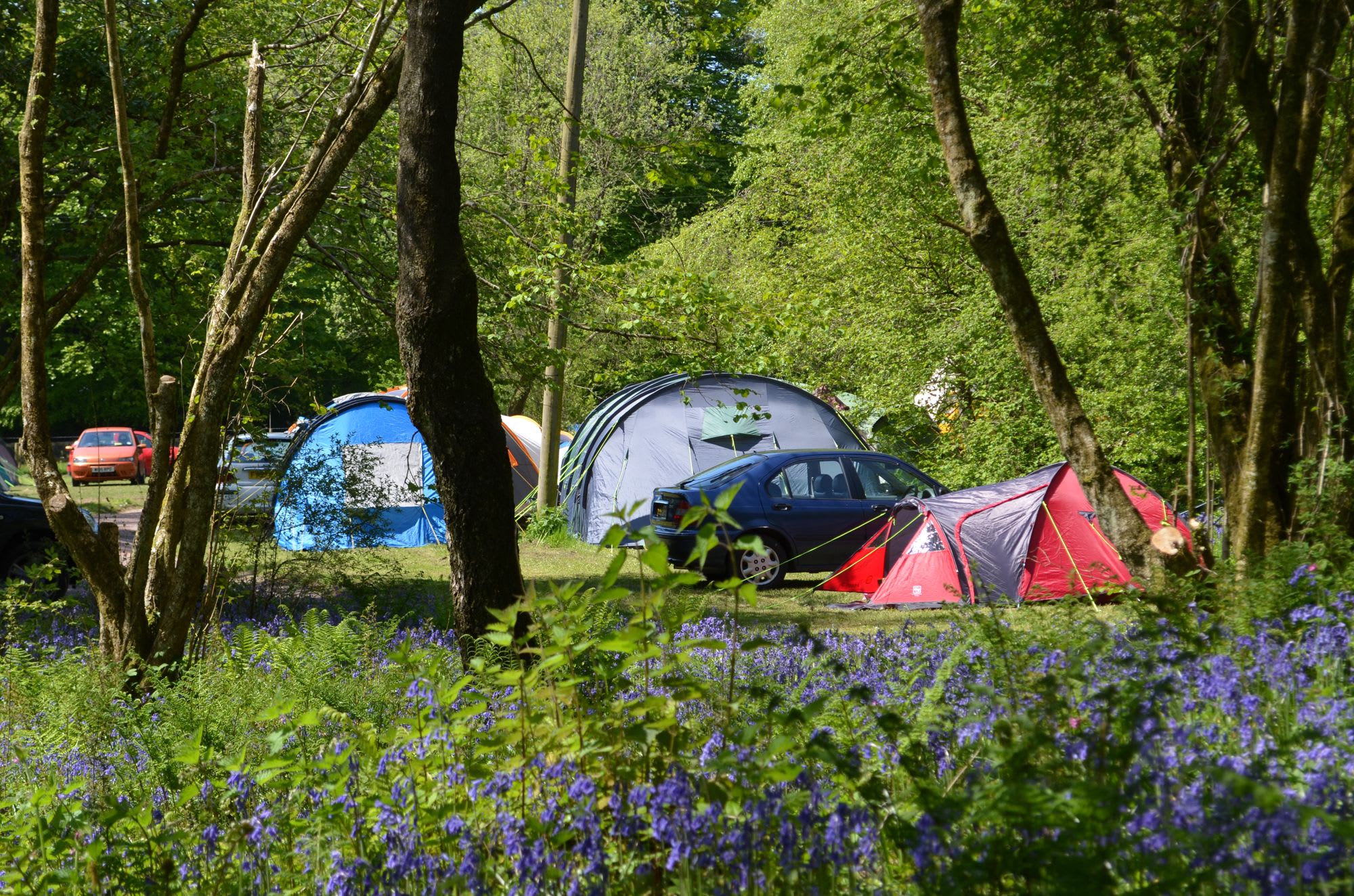 A beautiful countryside spot in Devon with a range of pitches, from grassy open spaces to off-grid woodland clearings, topped off by two well-stocked fishing lakes.