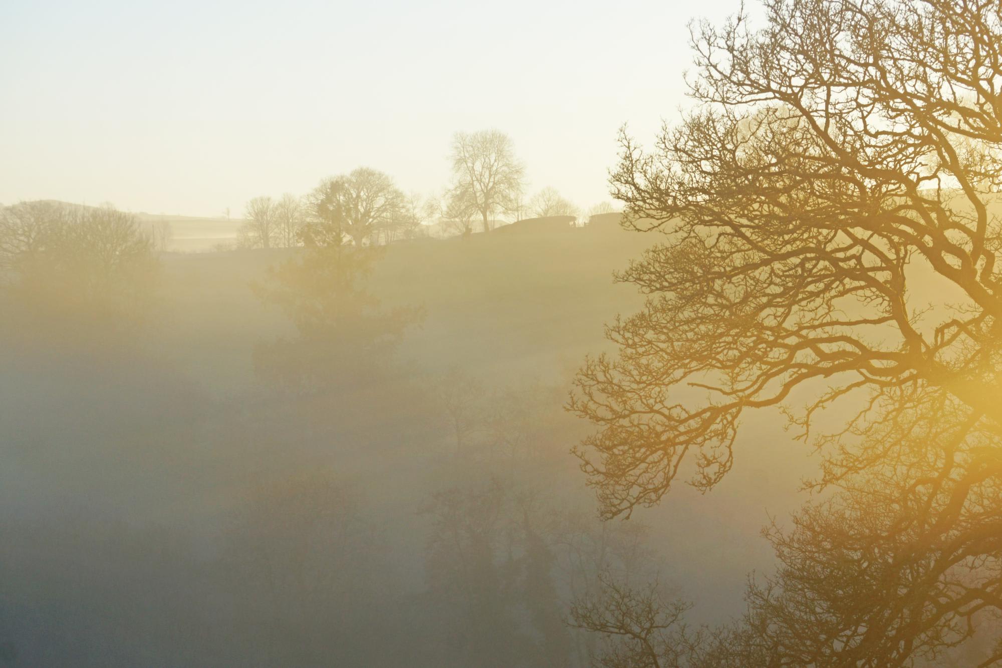 Llansawel Agored