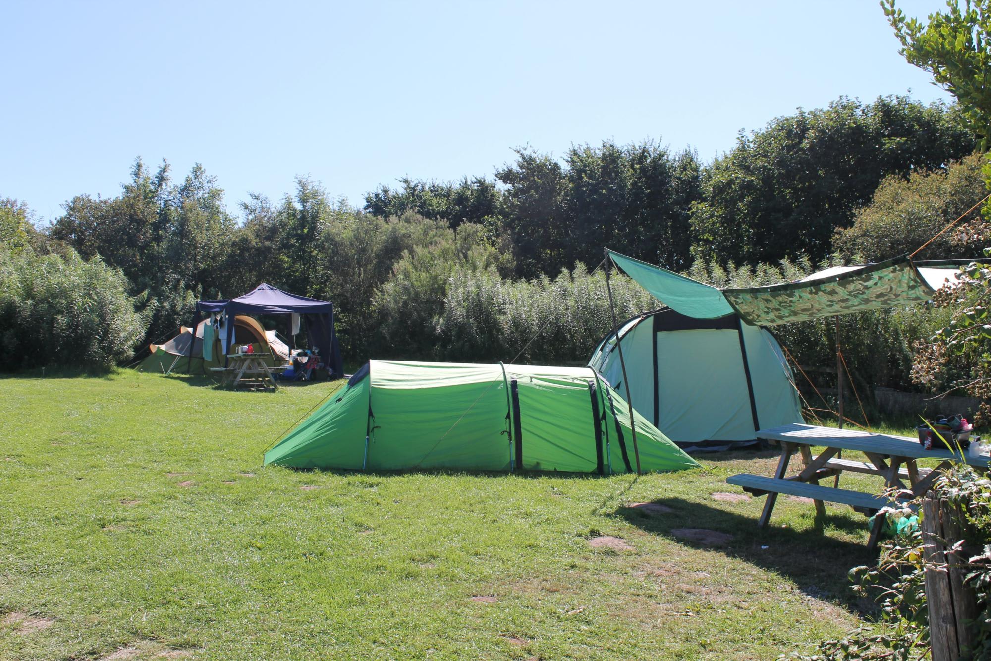 Camping Pitch 7