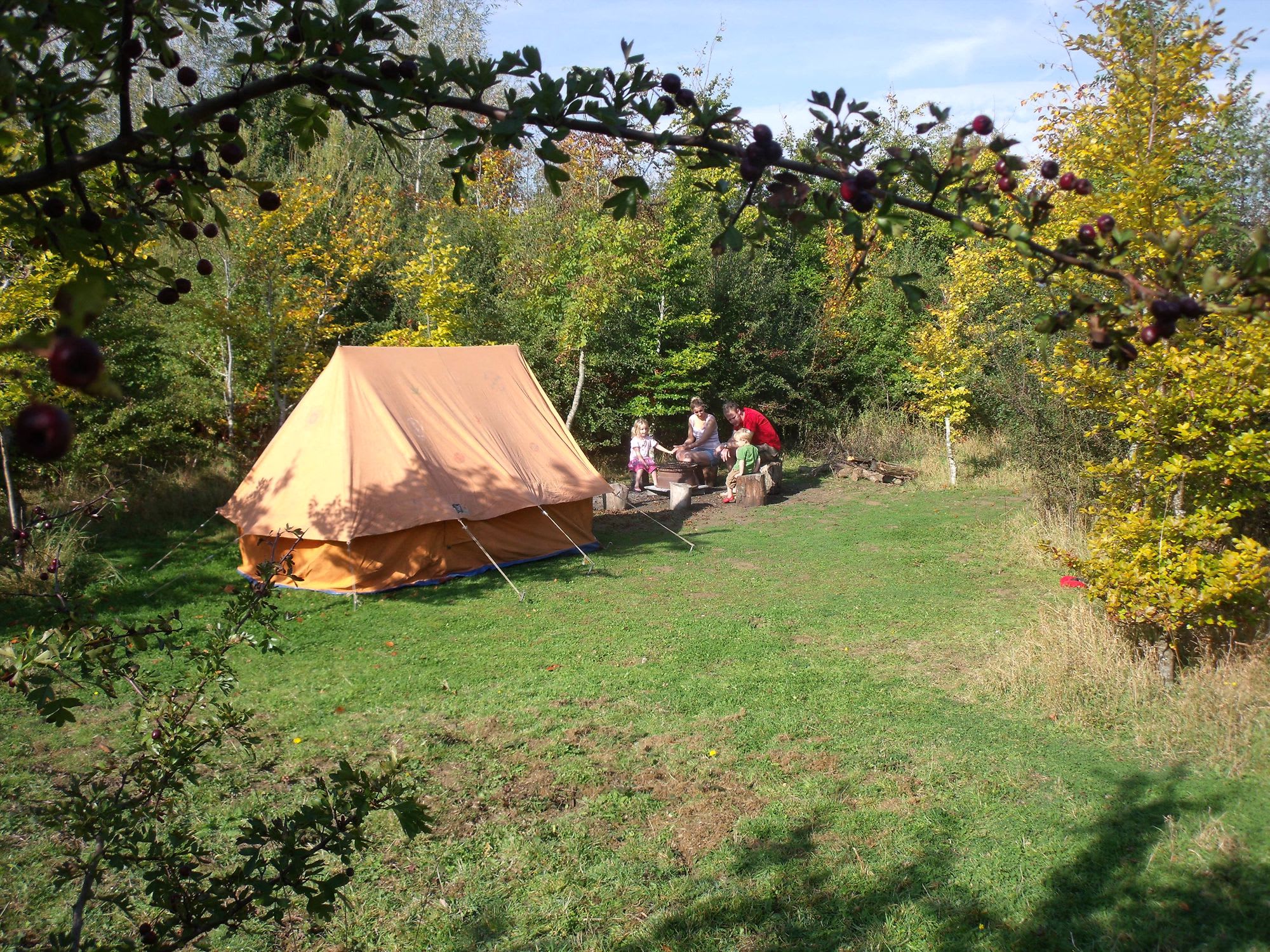 The Magical Glade, as close to wild camping as it gets