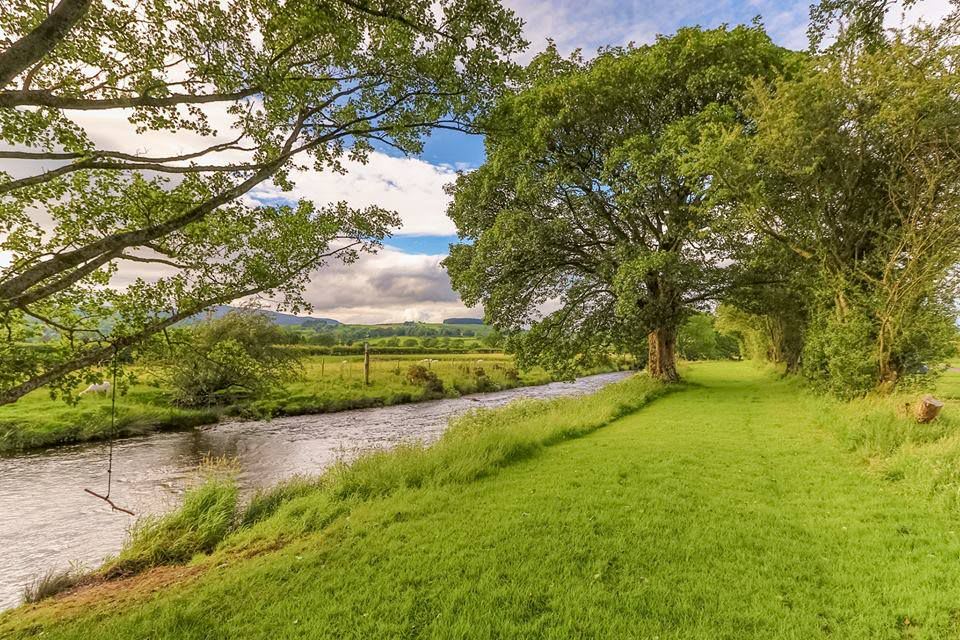Bwch Yn Uchaf