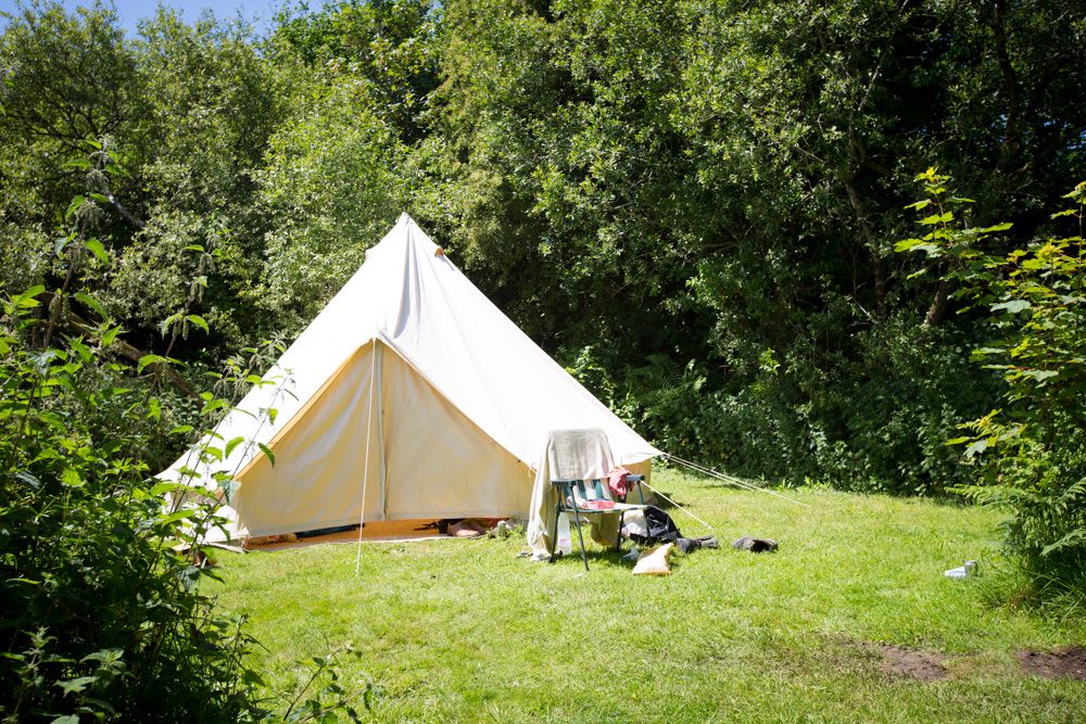 Wild Camping - Private Pitch - Bluebell Bank