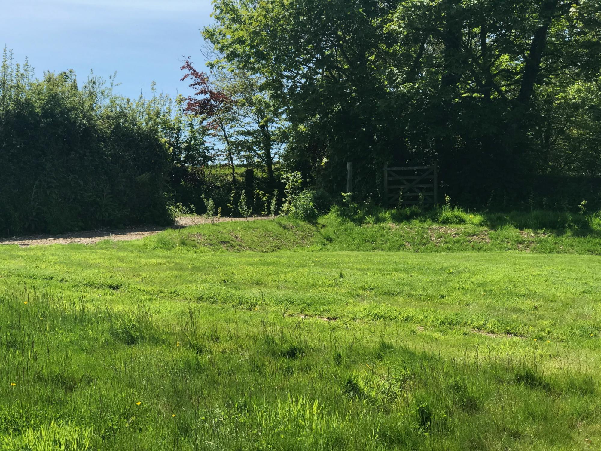Grass pitch for campervan