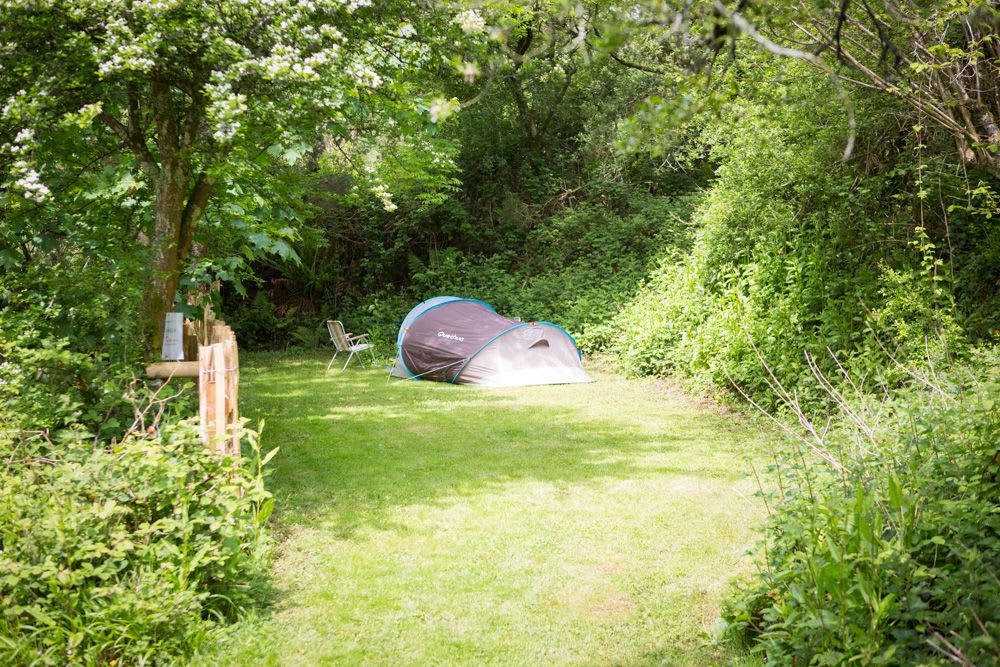 Wild Camping - Private Pitch - Gosels