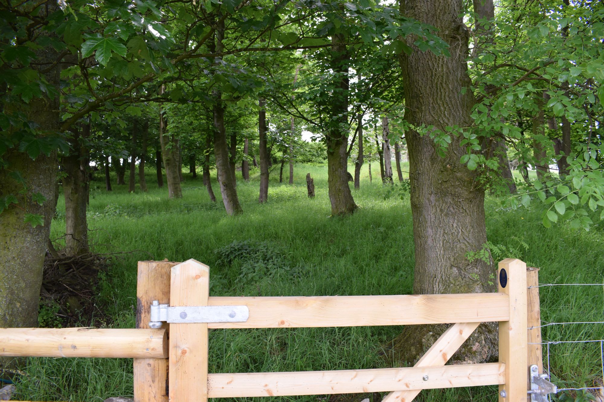 Family-sized, wooden, ensuite glamping pods in the eastern hills of the Peak District.