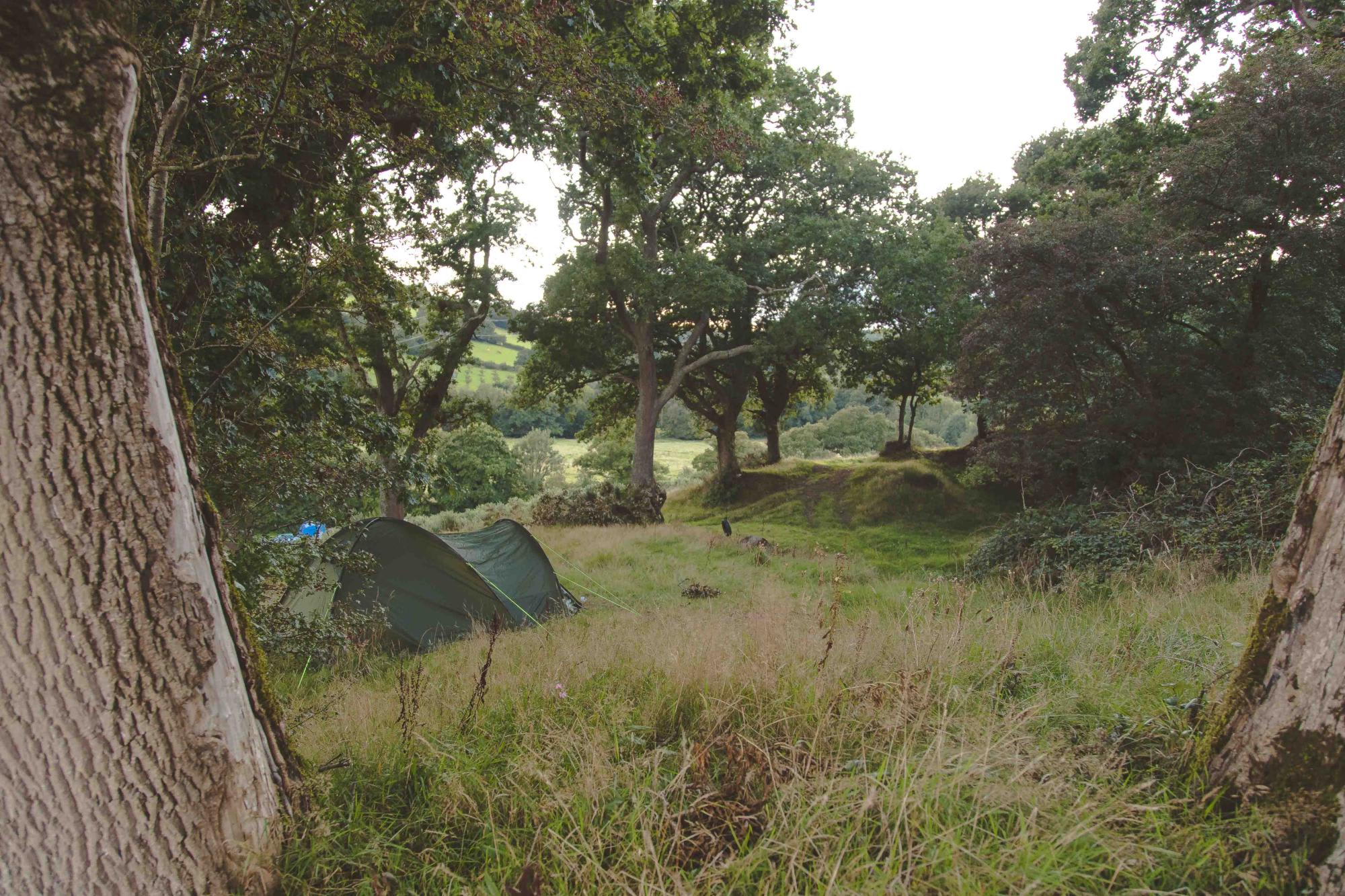 Bush Farm Campsite offers wild-ish camping in south Cornwall.