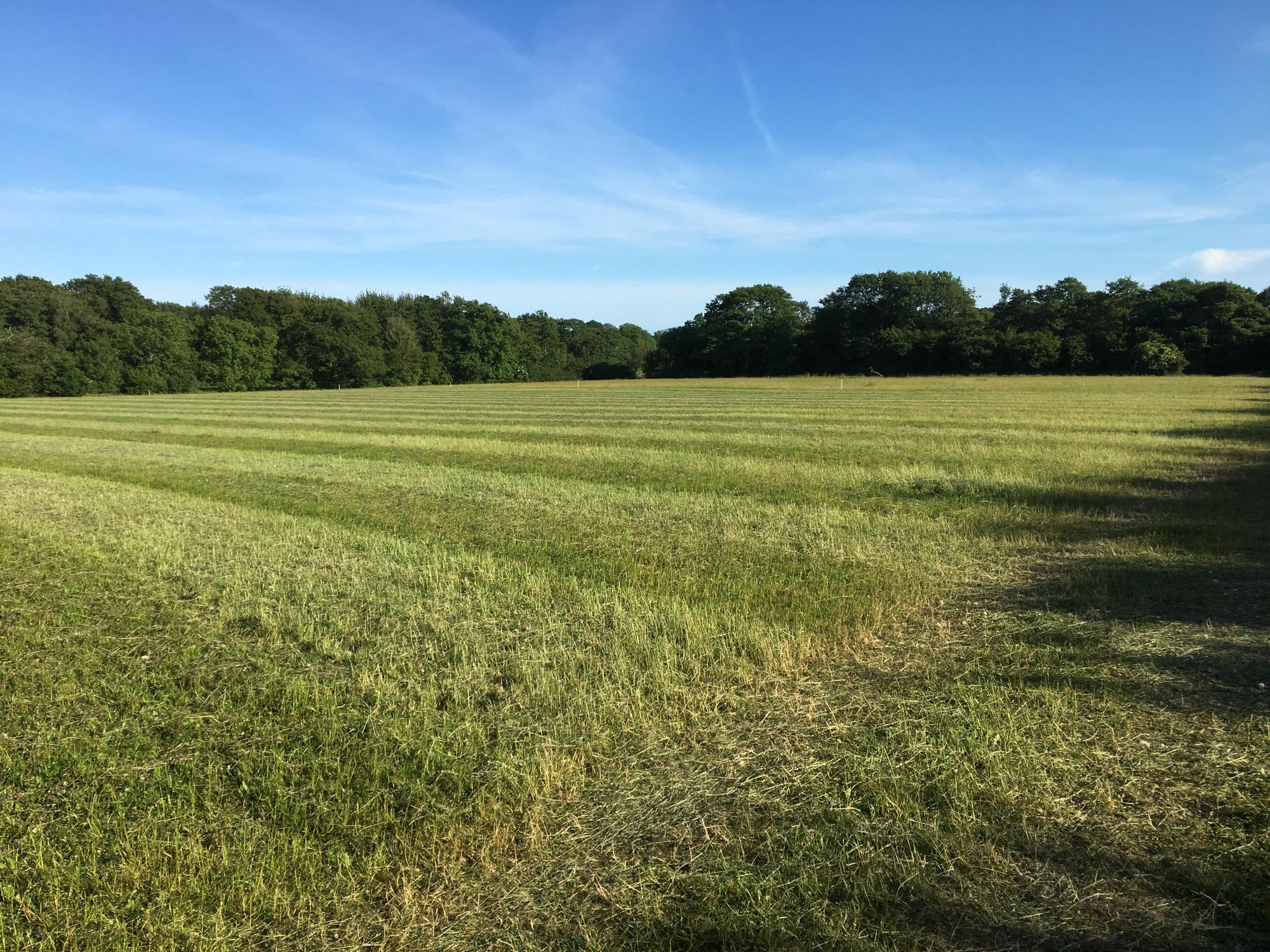 Grass Pitch